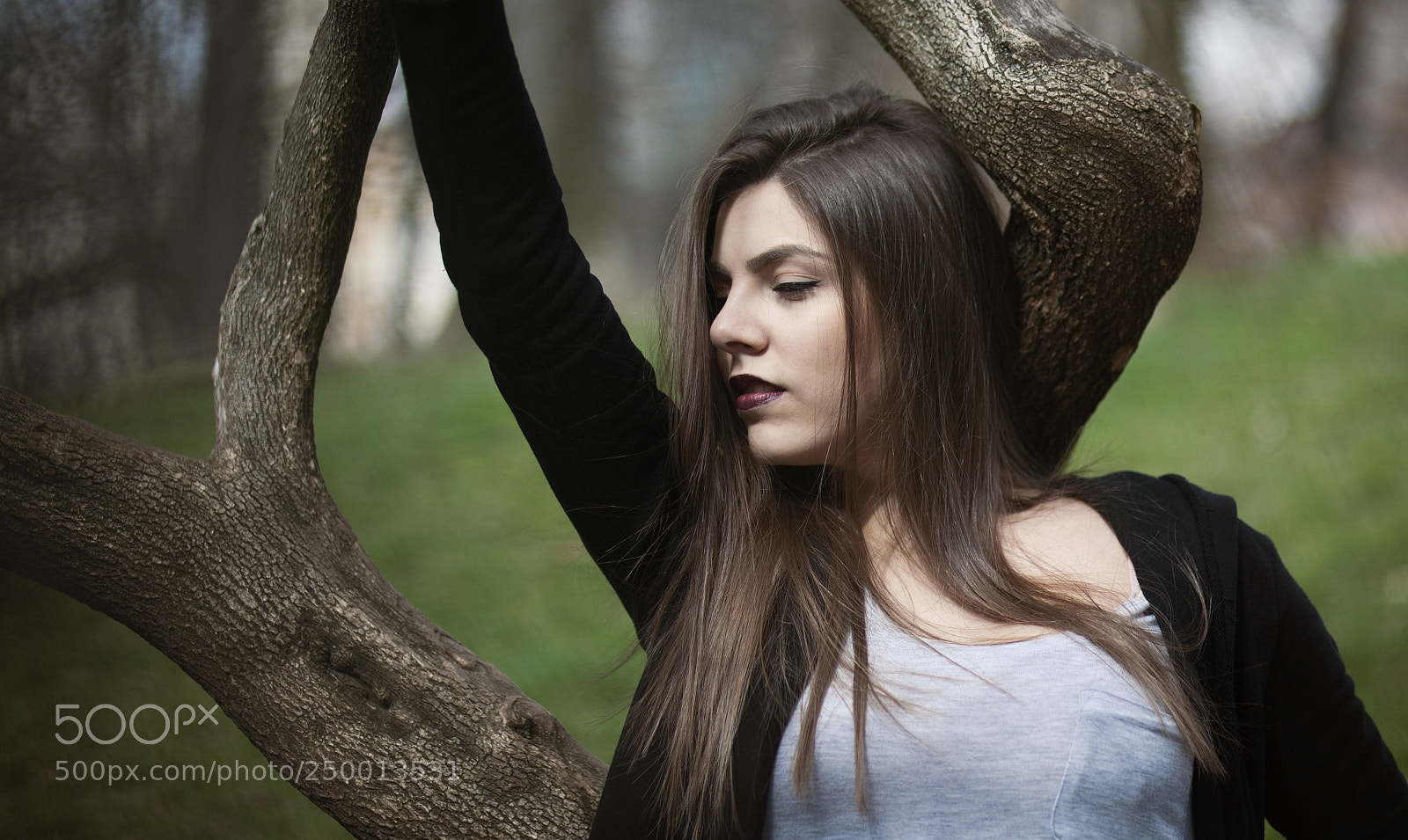 Canon EOS 5D sample photo. Untitled photography