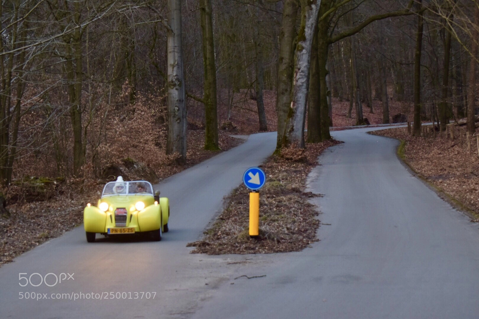 Nikon D5300 sample photo. Cruising photography