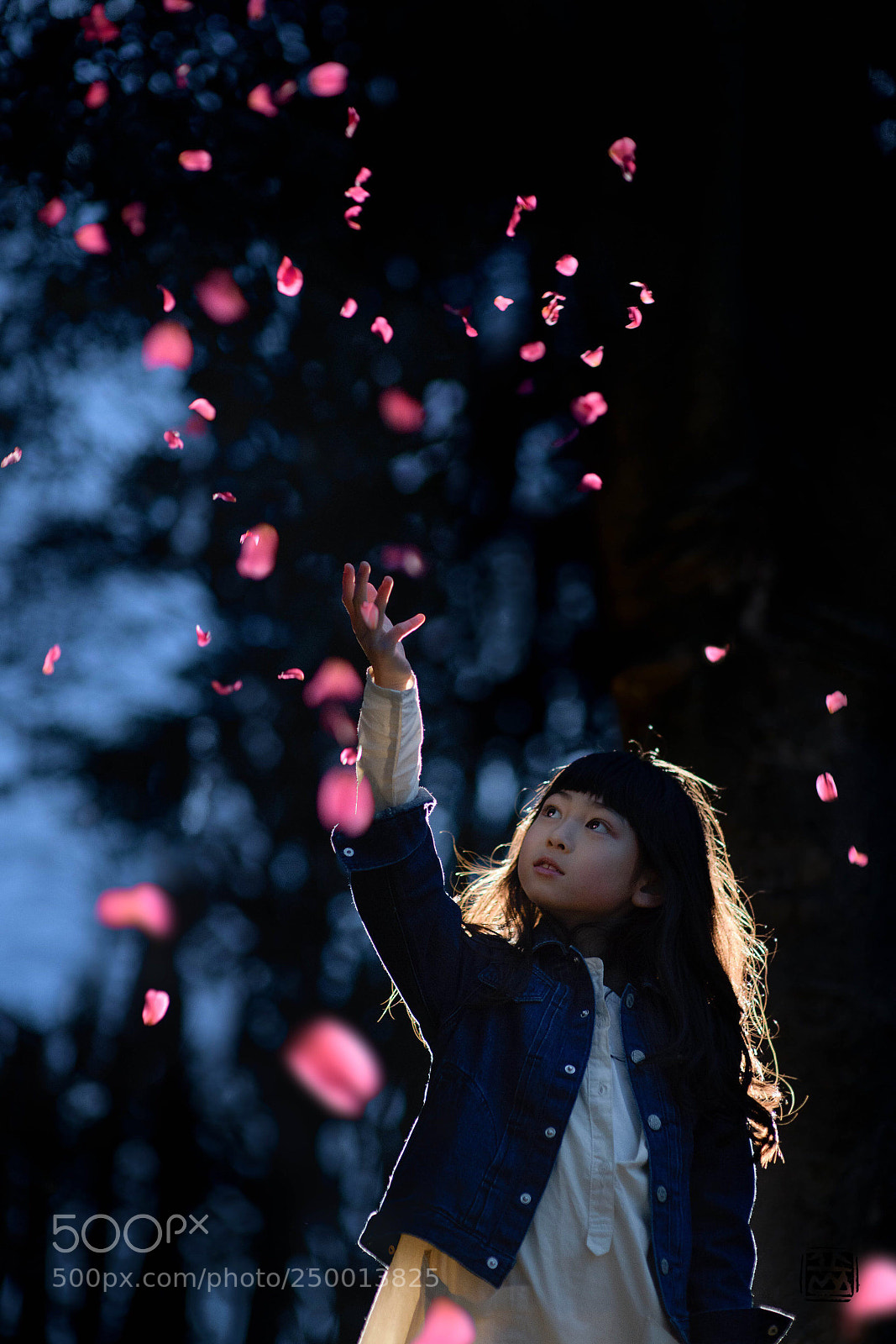 Nikon D850 sample photo. Camellia petals photography