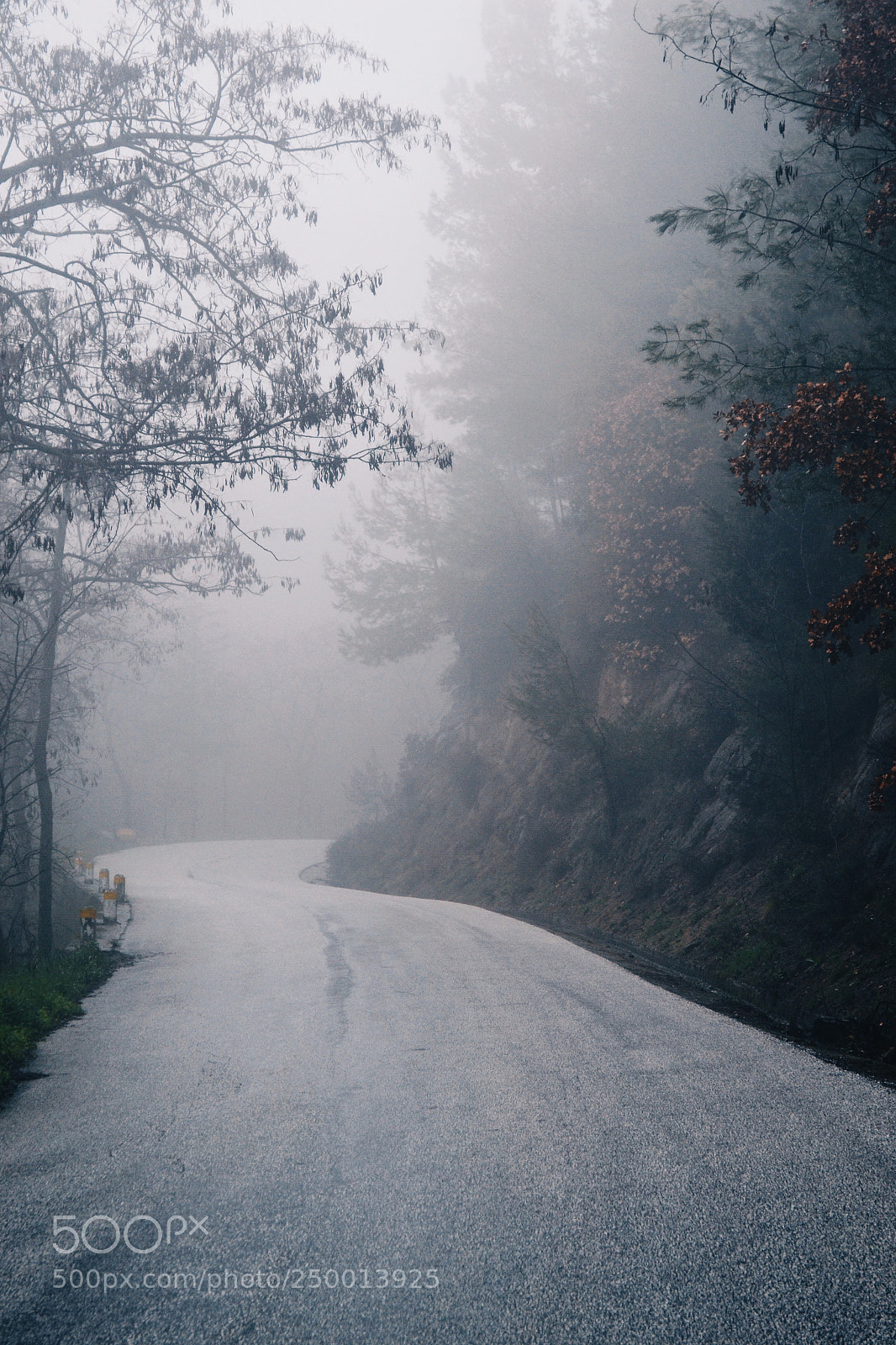 Nikon D3100 sample photo. "the path".. photography