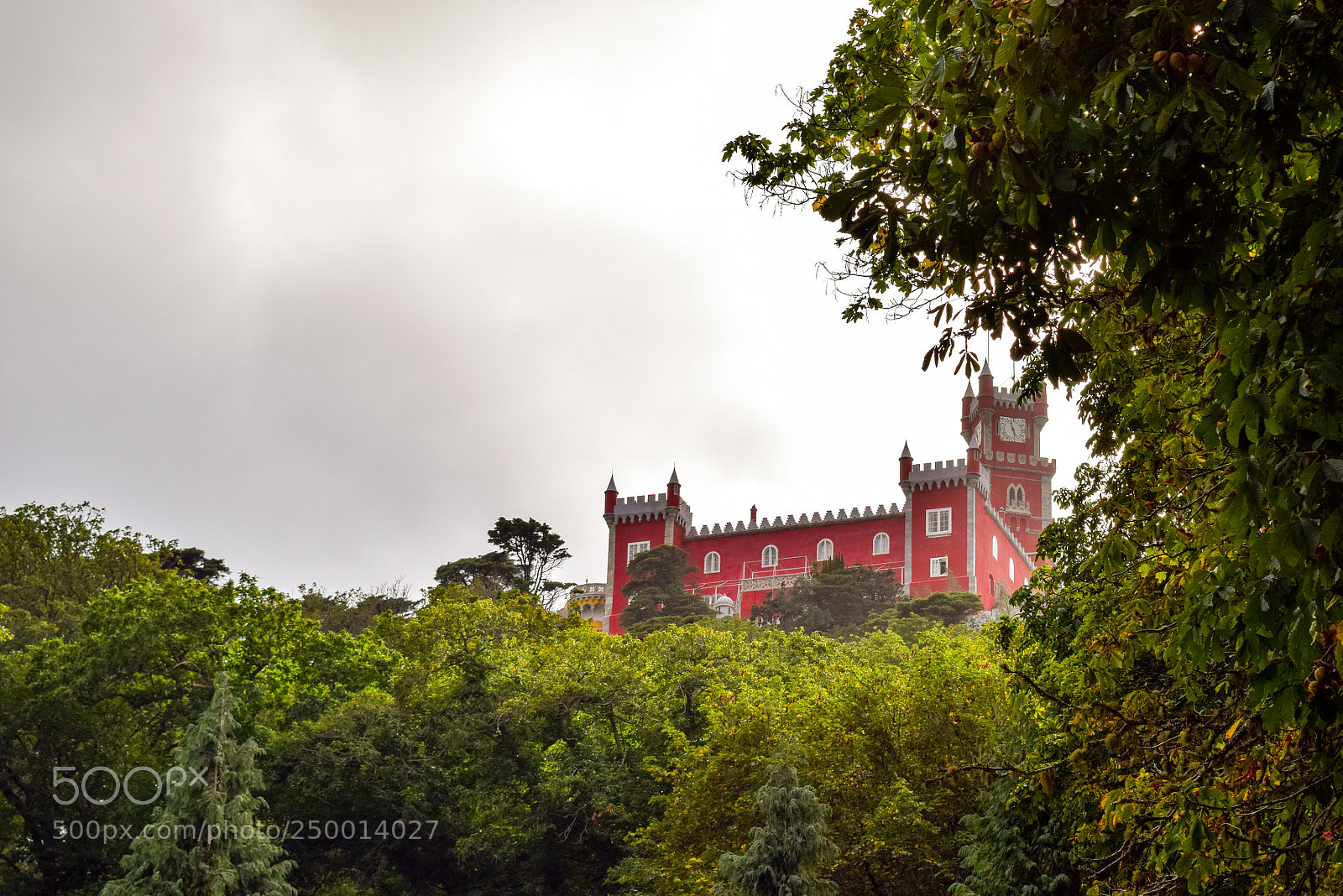 Nikon D5300 sample photo. Sintra castle photography