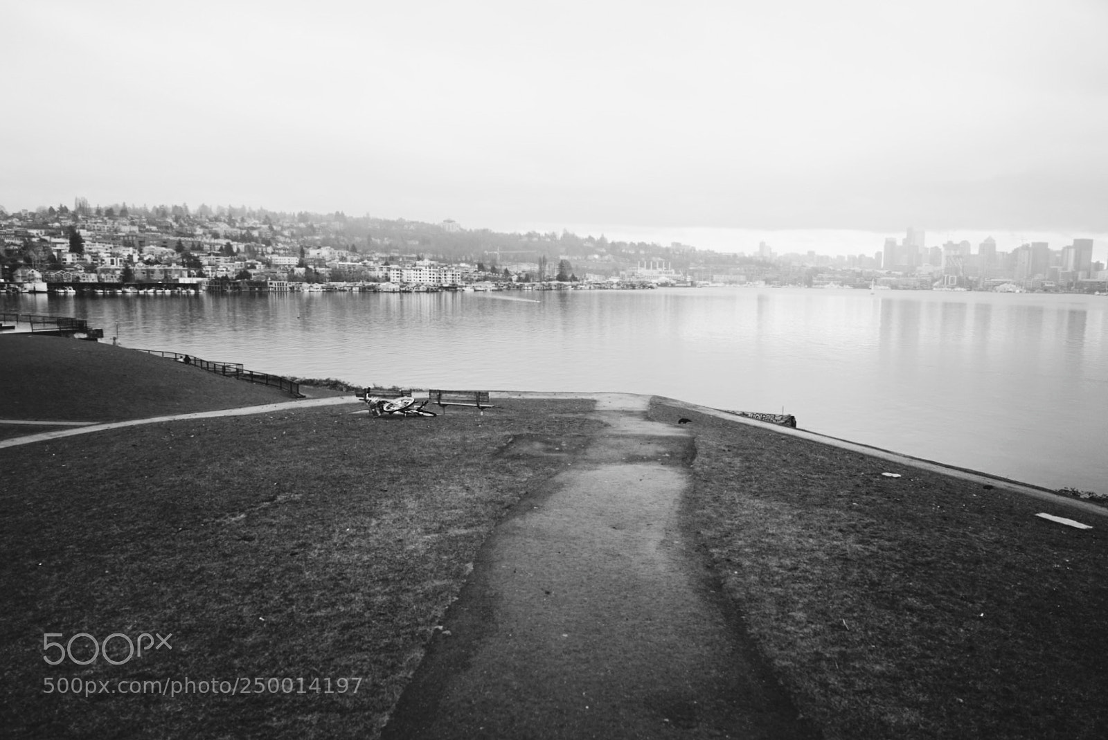 Sony a7 II sample photo. 远. seattle photography