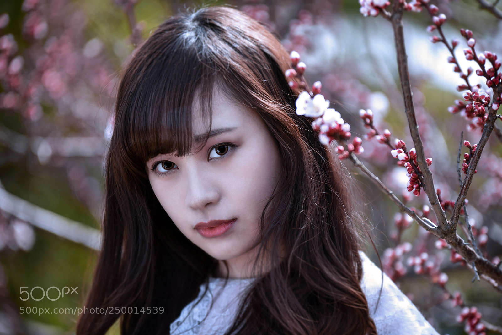 Nikon D850 sample photo. Kaede 2 photography