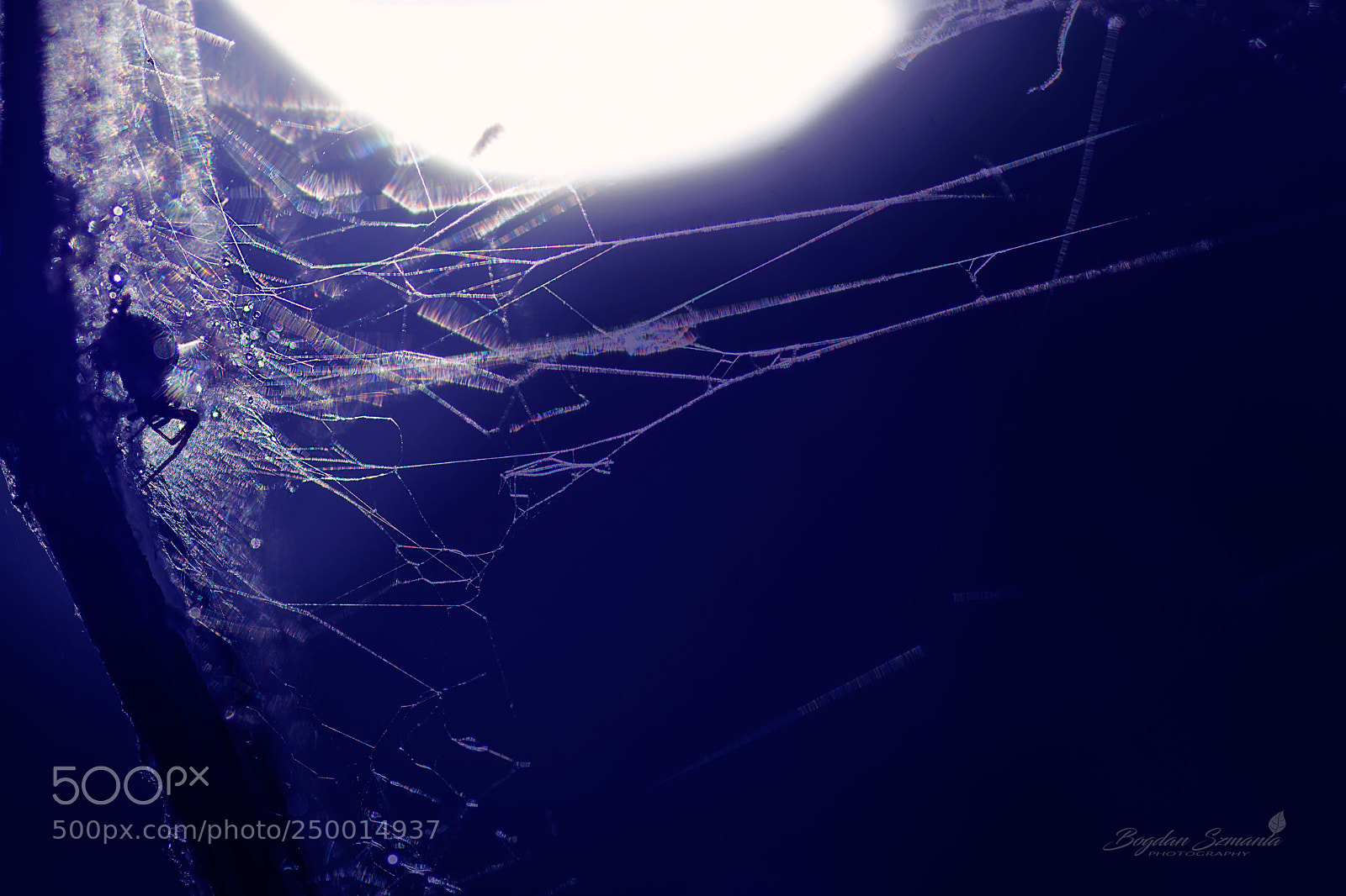 Nikon D5200 sample photo. On the web photography