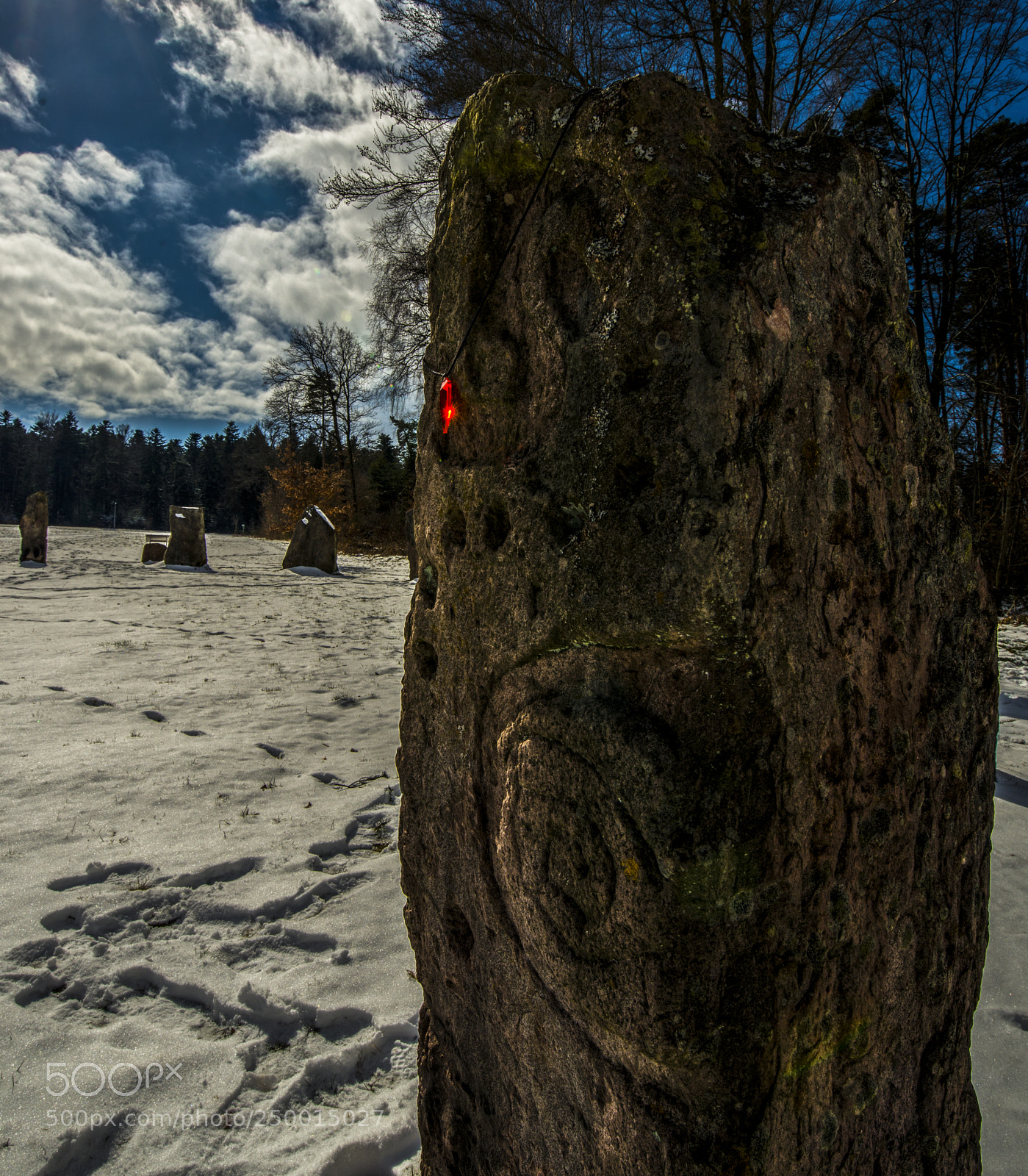 Nikon D800 sample photo. E q u i photography
