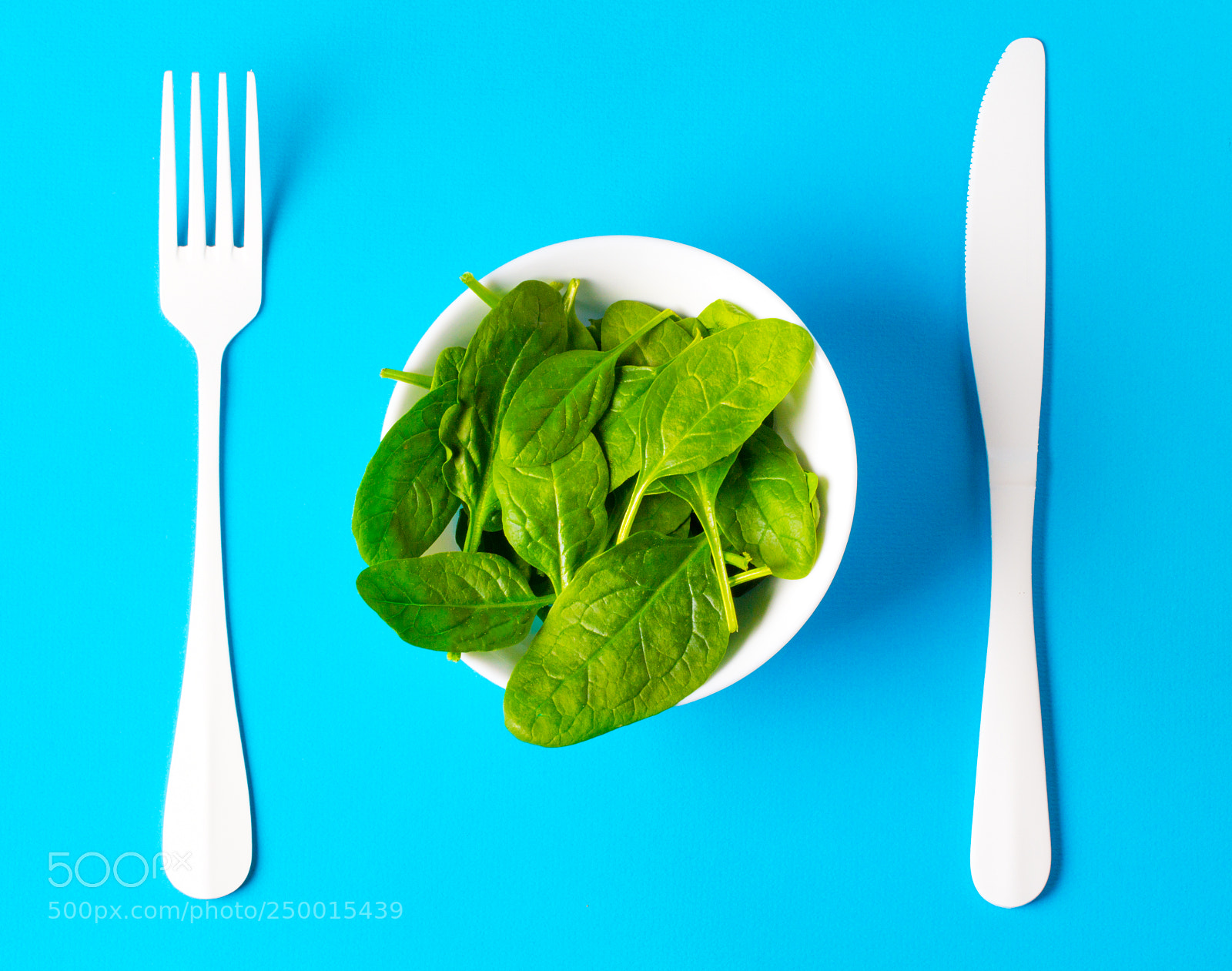 Canon EOS 60D sample photo. Spinach plate concept vegan photography