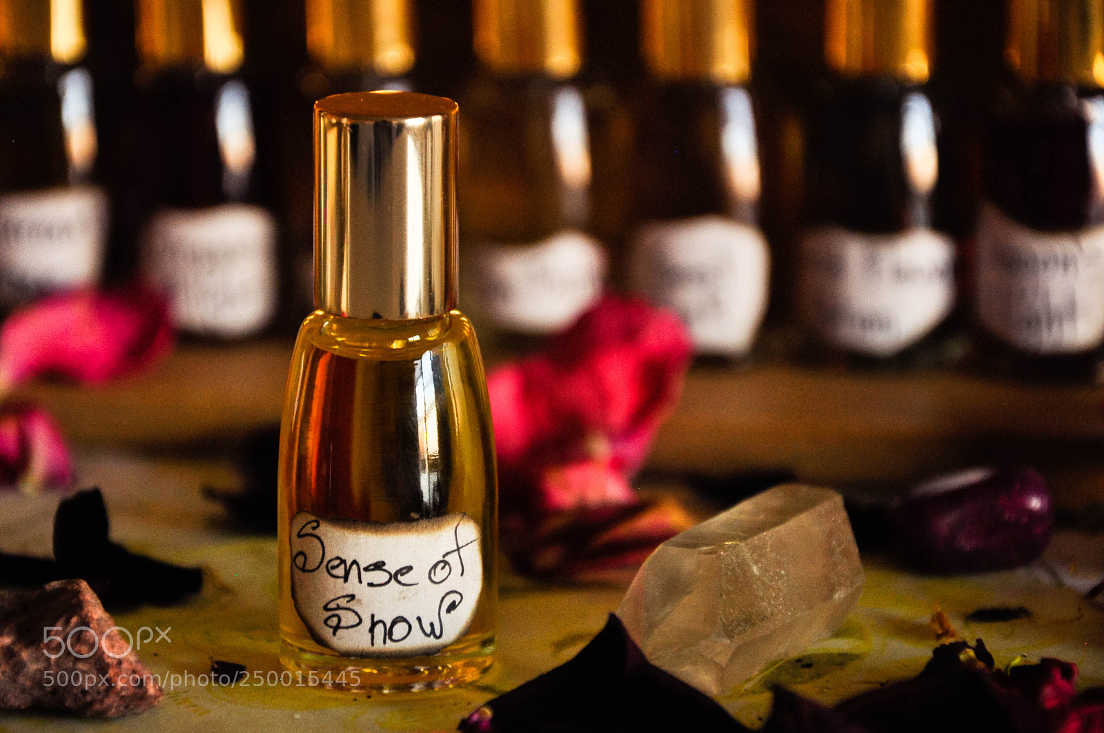 Nikon D90 sample photo. A still life with photography