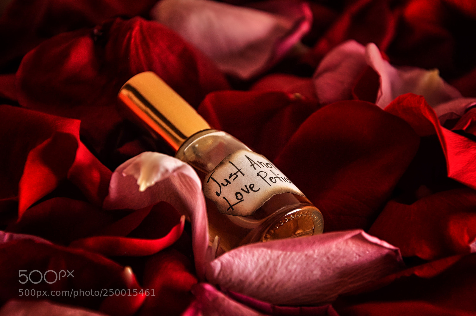 Nikon D90 sample photo. Perfume bottle in the photography