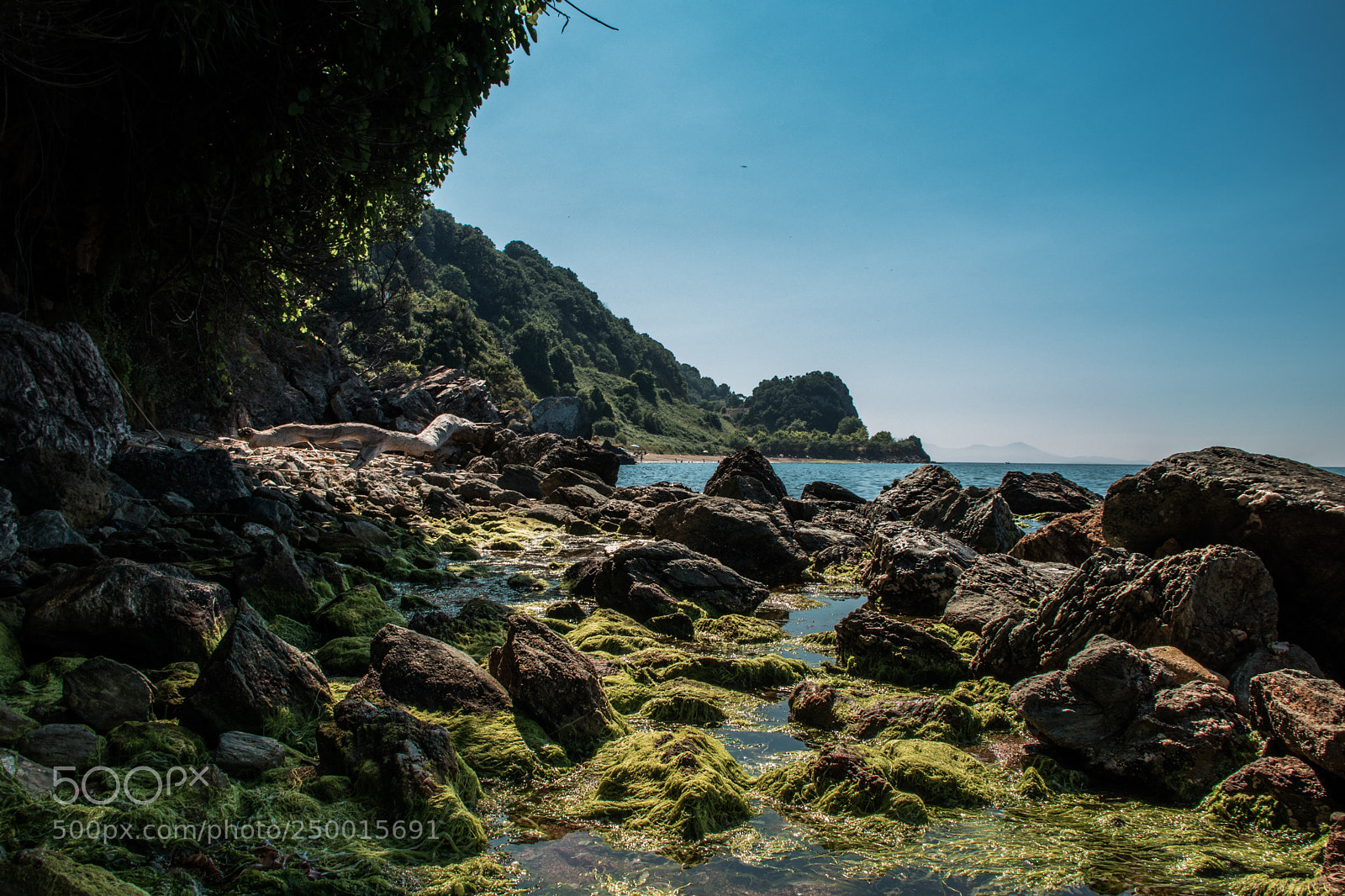 Canon EOS 77D (EOS 9000D / EOS 770D) sample photo. Moss ii photography