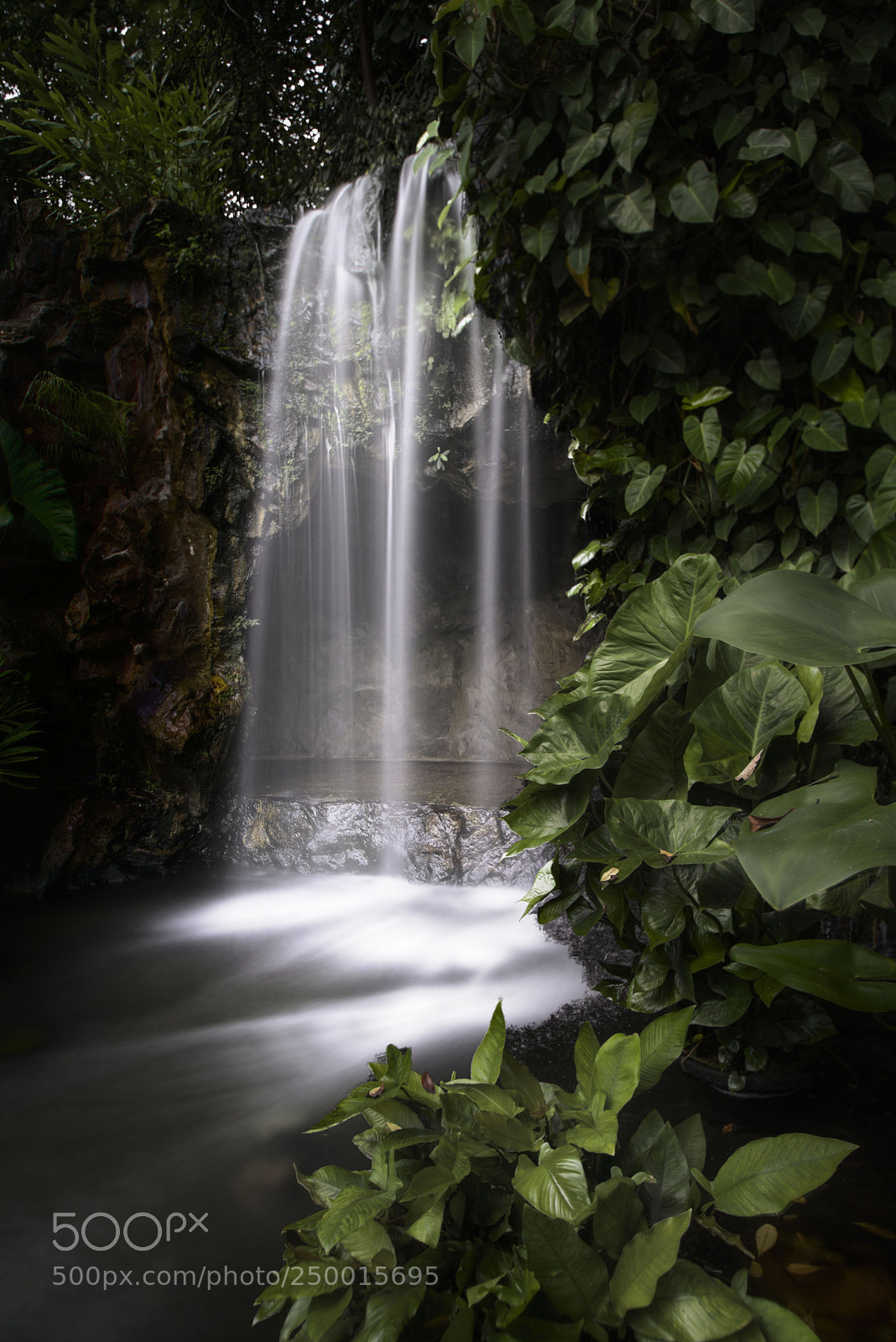 Pentax K-1 sample photo. Waterfall at botanic garden photography