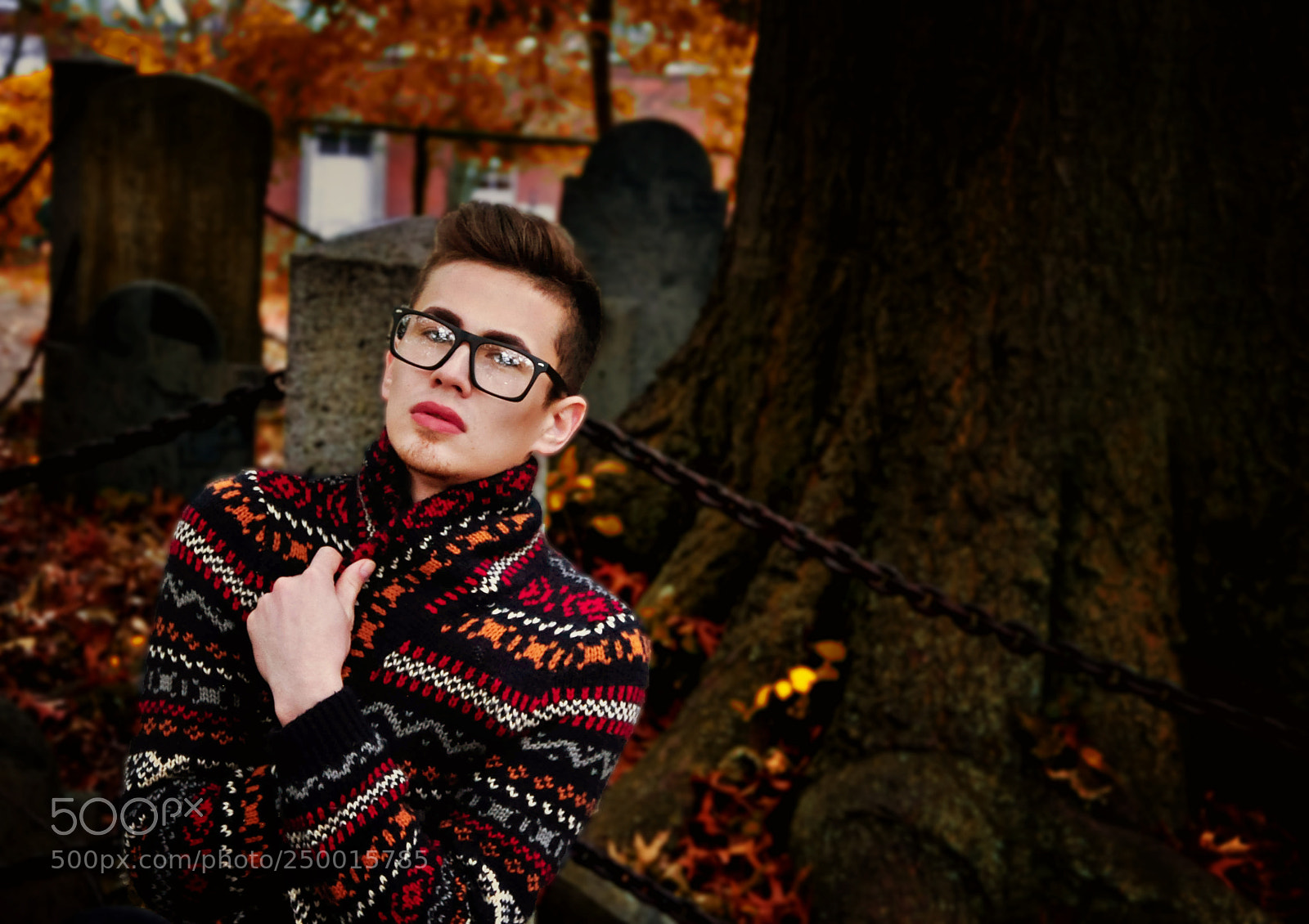Nikon D90 sample photo. A warm cemetery photography
