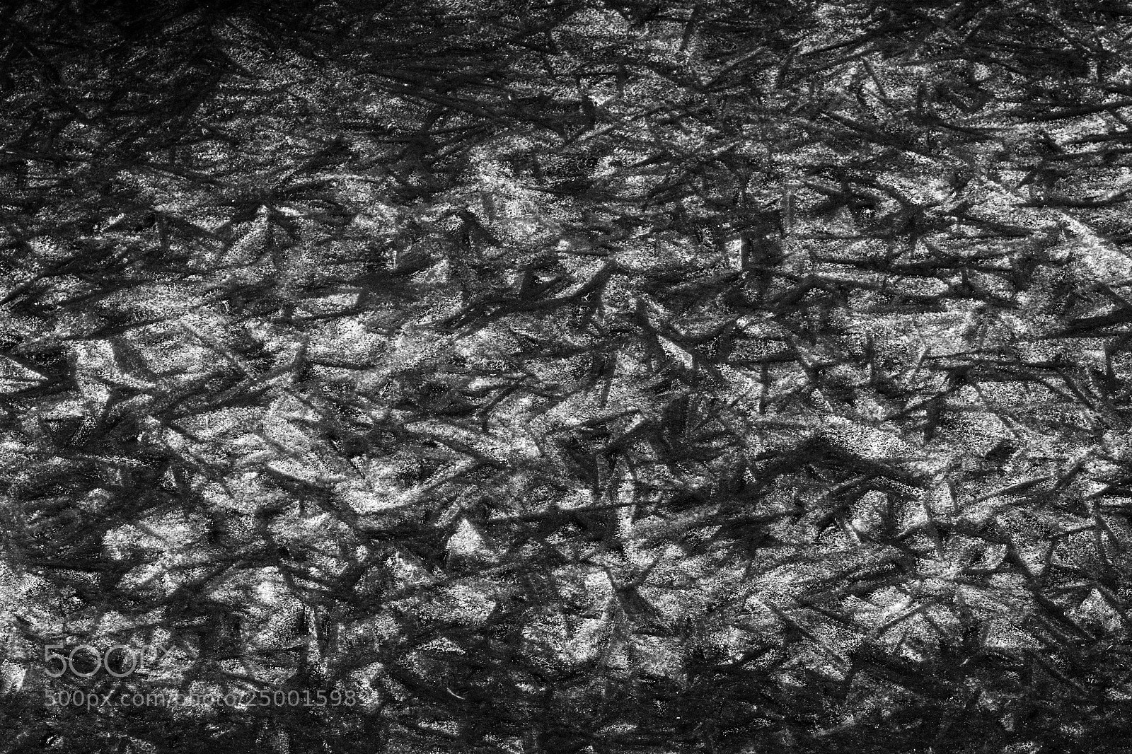 Fujifilm X-T2 sample photo. Untitled photography