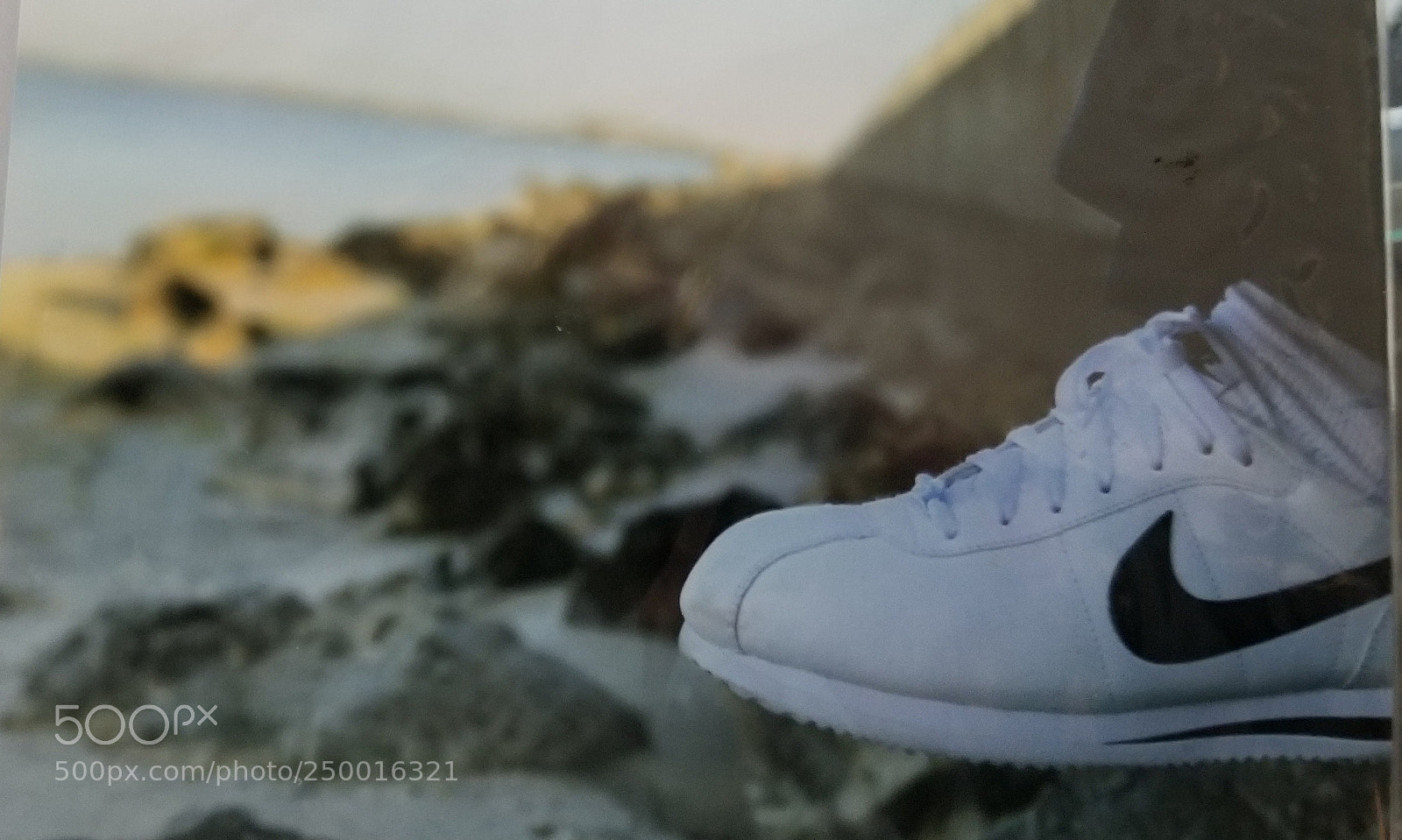 Samsung Galaxy S8+ sample photo. Untitled photography
