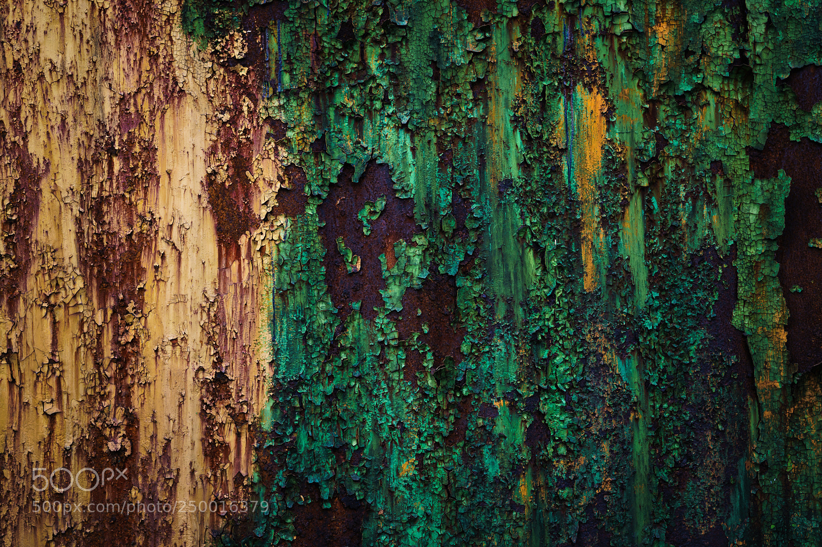 Sony a7 II sample photo. The rotten wall photography