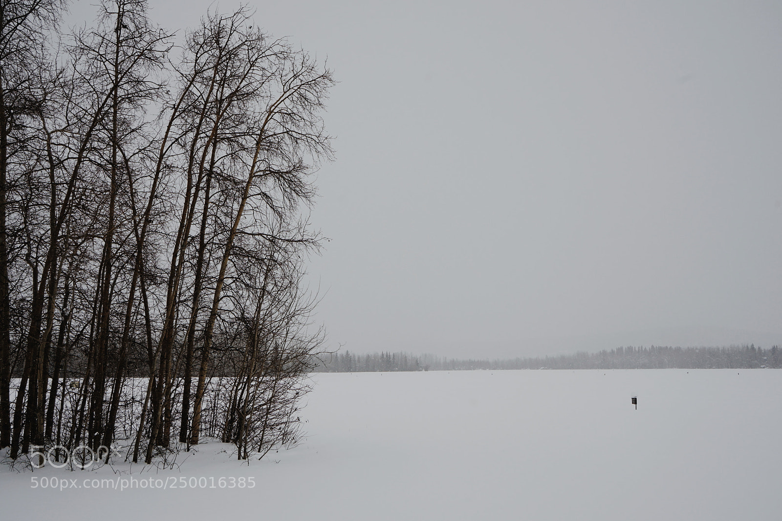 Sony a7 II sample photo. 阔. alaska photography