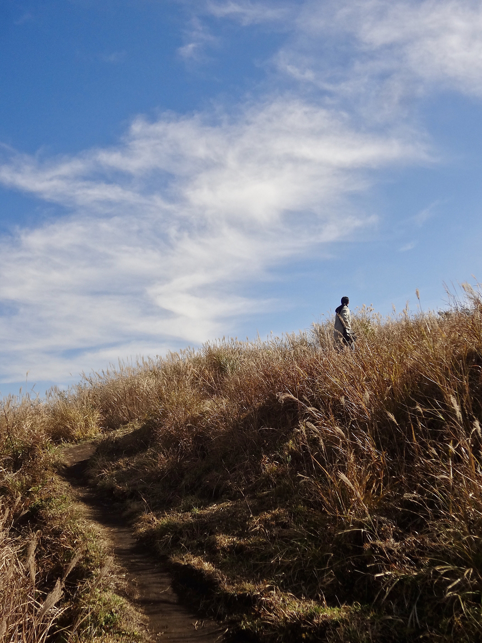 Sony DSC-WX7 sample photo. Mount aso photography