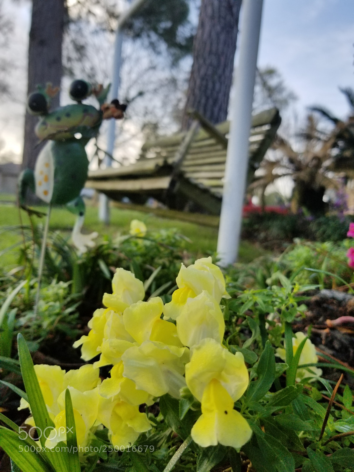 Samsung Galaxy S8+ sample photo. Untitled photography