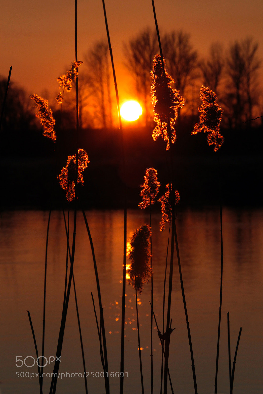 Canon EOS-1D Mark IV sample photo. Untitled photography