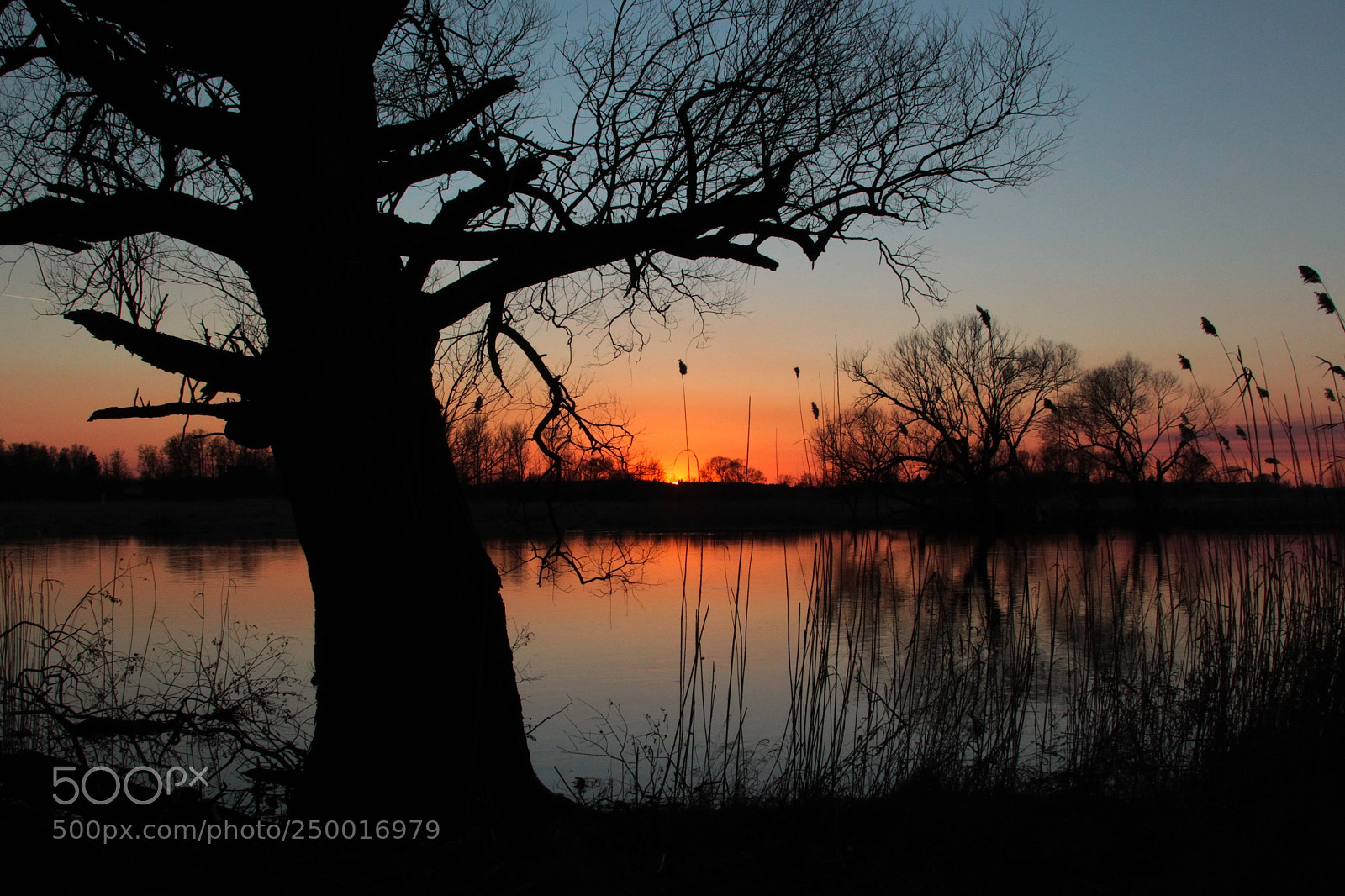 Canon EOS-1D Mark IV sample photo. Untitled photography