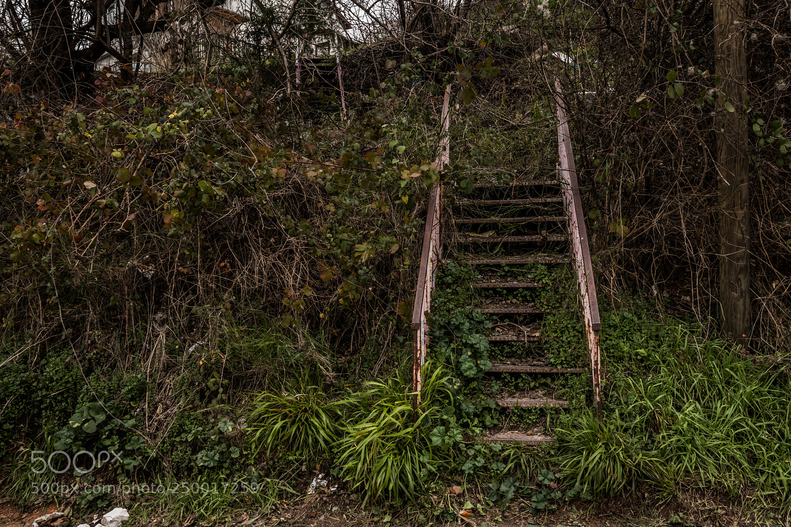 Canon EOS 77D (EOS 9000D / EOS 770D) sample photo. Green stairs photography