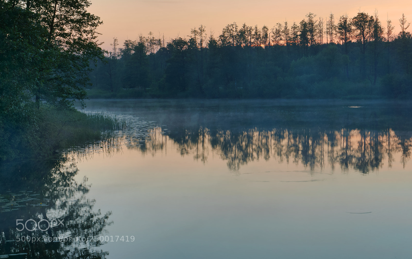 Sony Alpha NEX-3N sample photo. The reflection of the photography