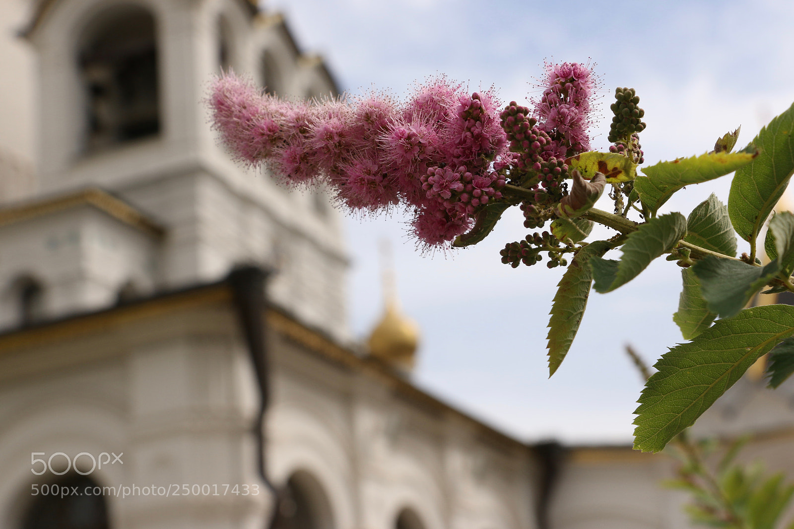 Canon EOS 70D sample photo. Easter soon.. photography