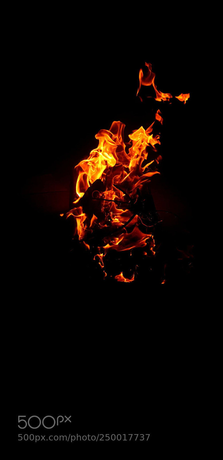 Samsung Galaxy S8+ sample photo. Untitled photography