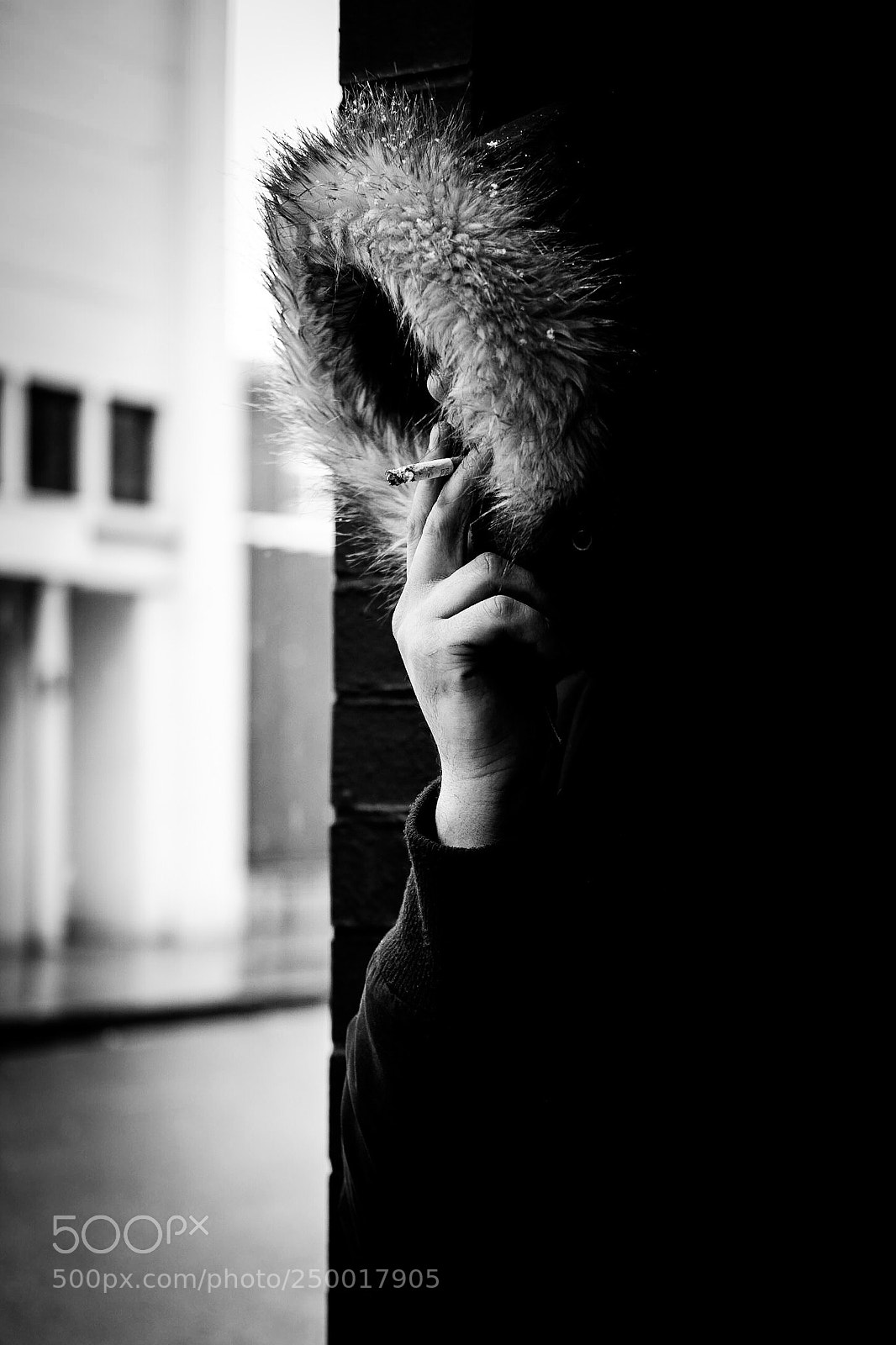 Fujifilm X-Pro1 sample photo. Untitled photography