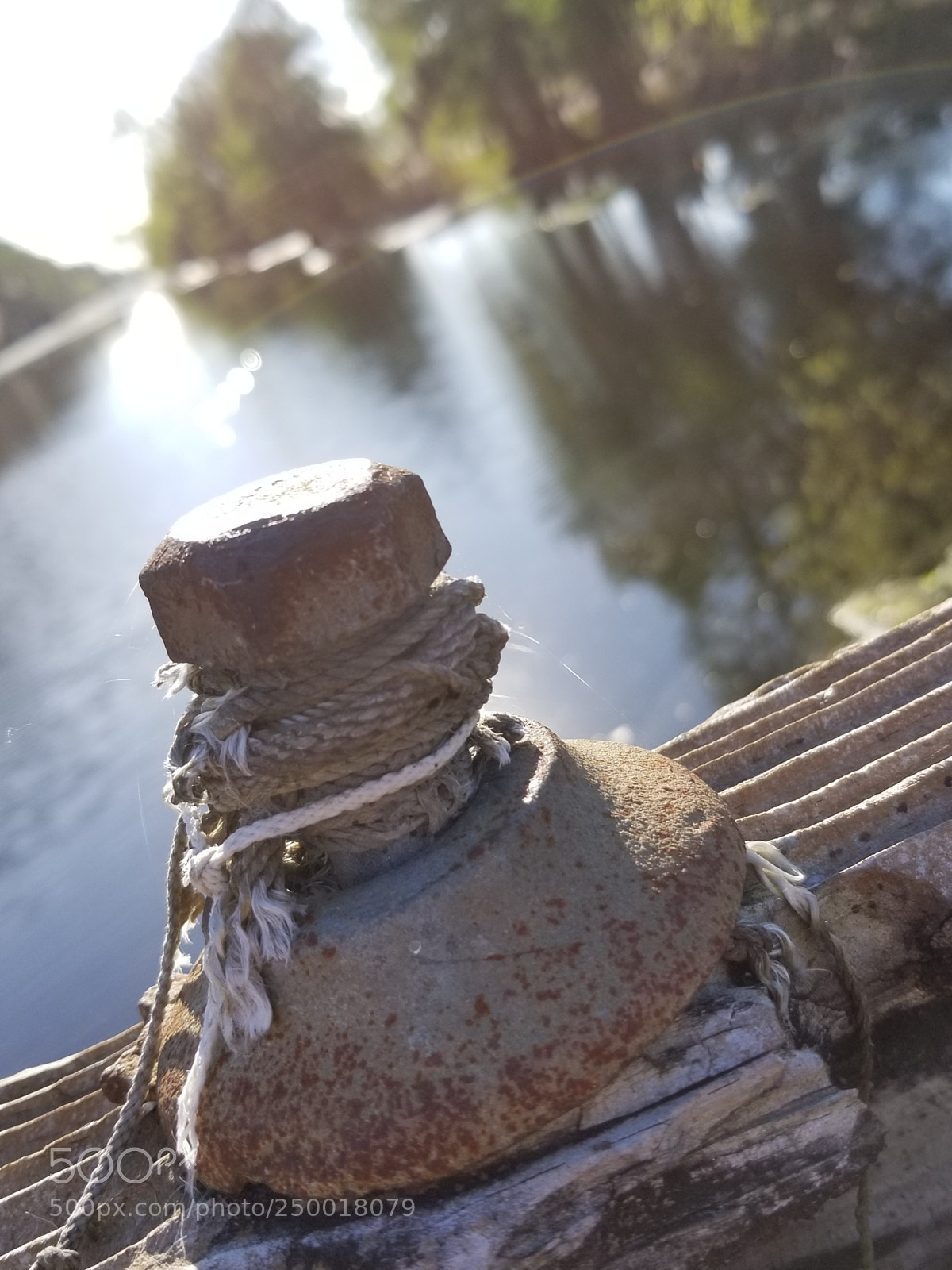 Samsung Galaxy S8+ sample photo. Untitled photography
