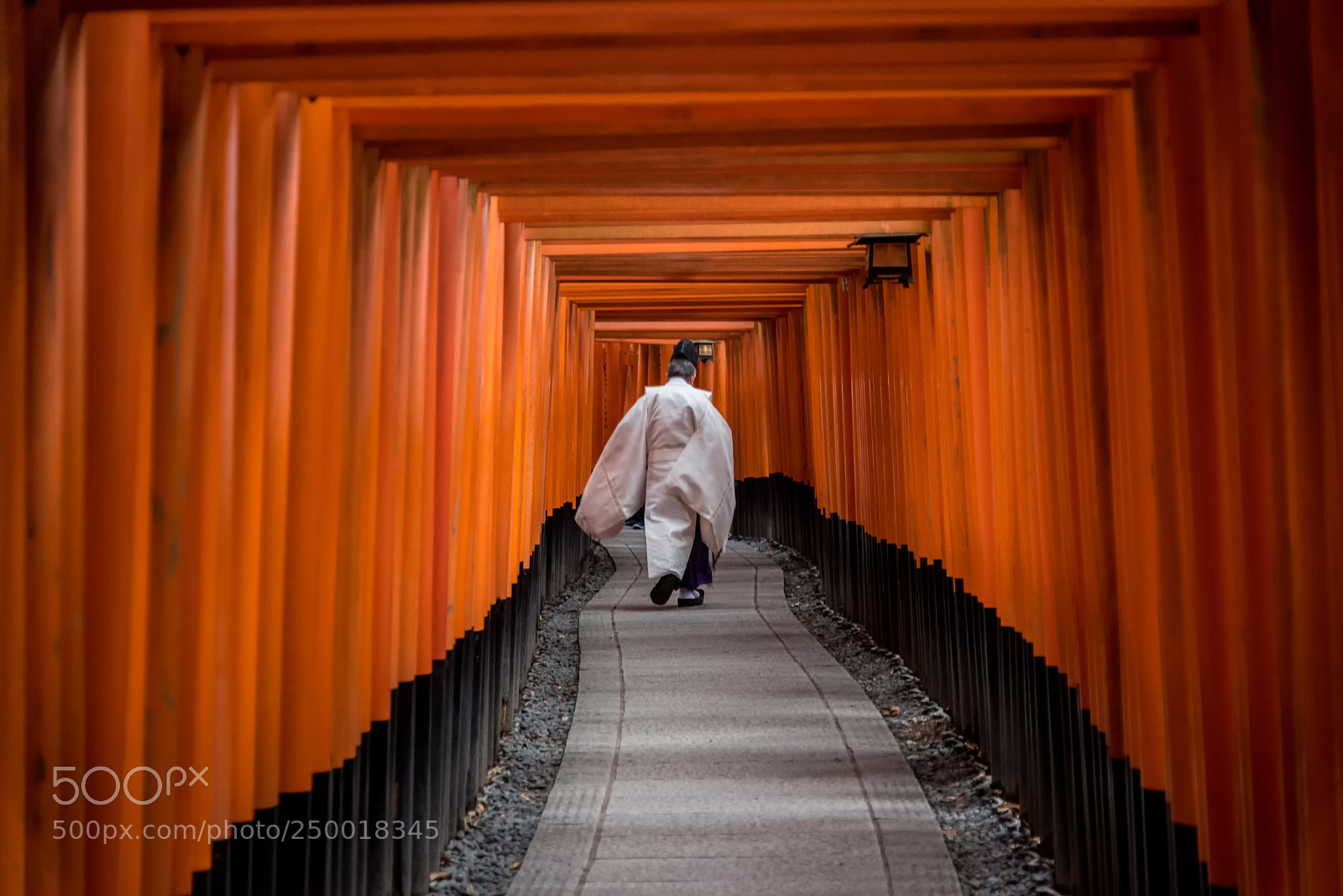 Nikon D750 sample photo. Japanese monk walking in photography