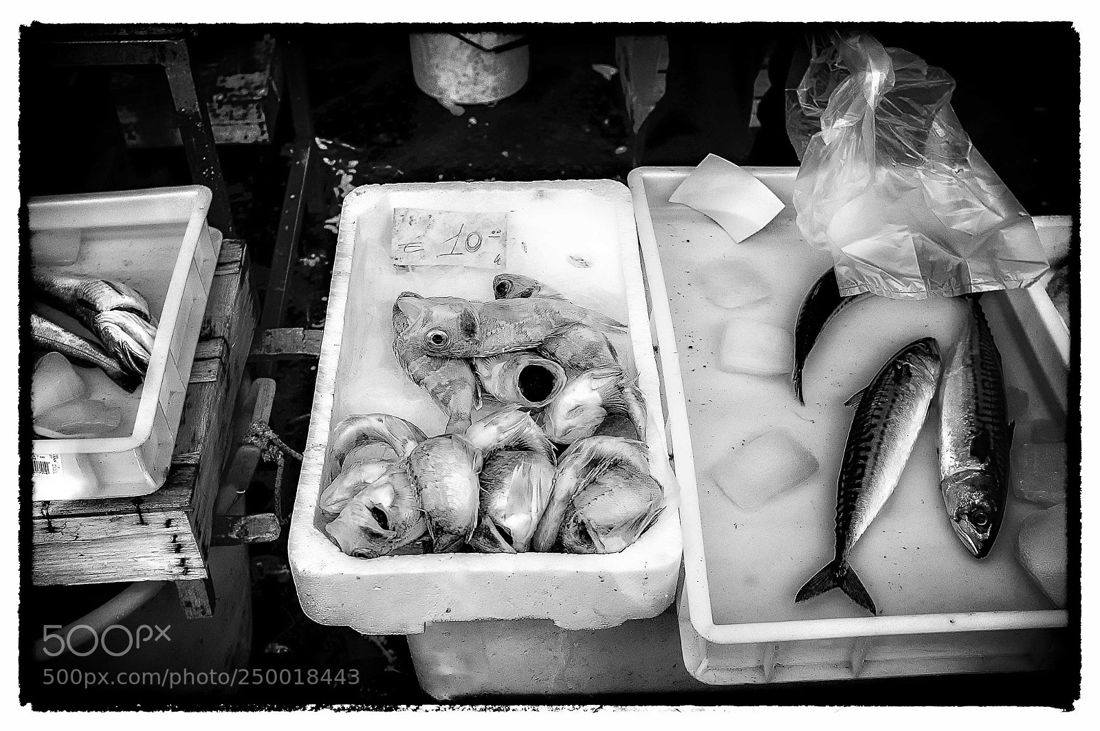 Fujifilm FinePix X100 sample photo. Pescheria photography