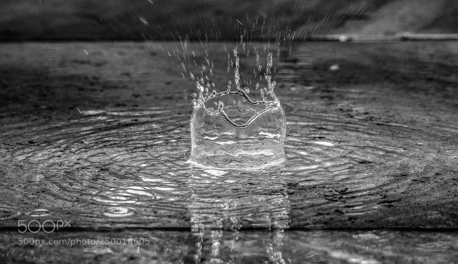 Olympus OM-D E-M10 II sample photo. Rain drop photography