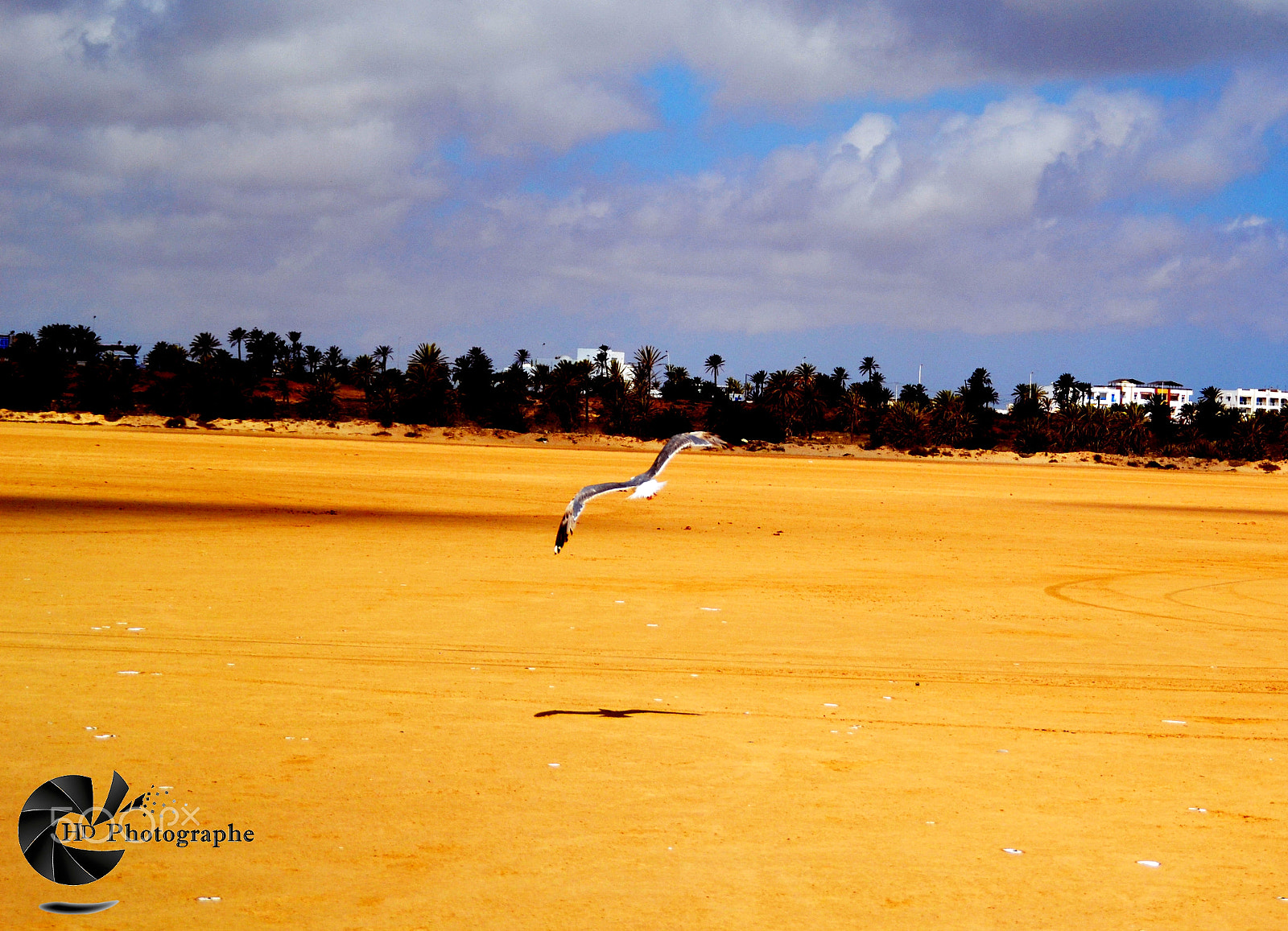 Nikon D3100 sample photo. Freedoom photography