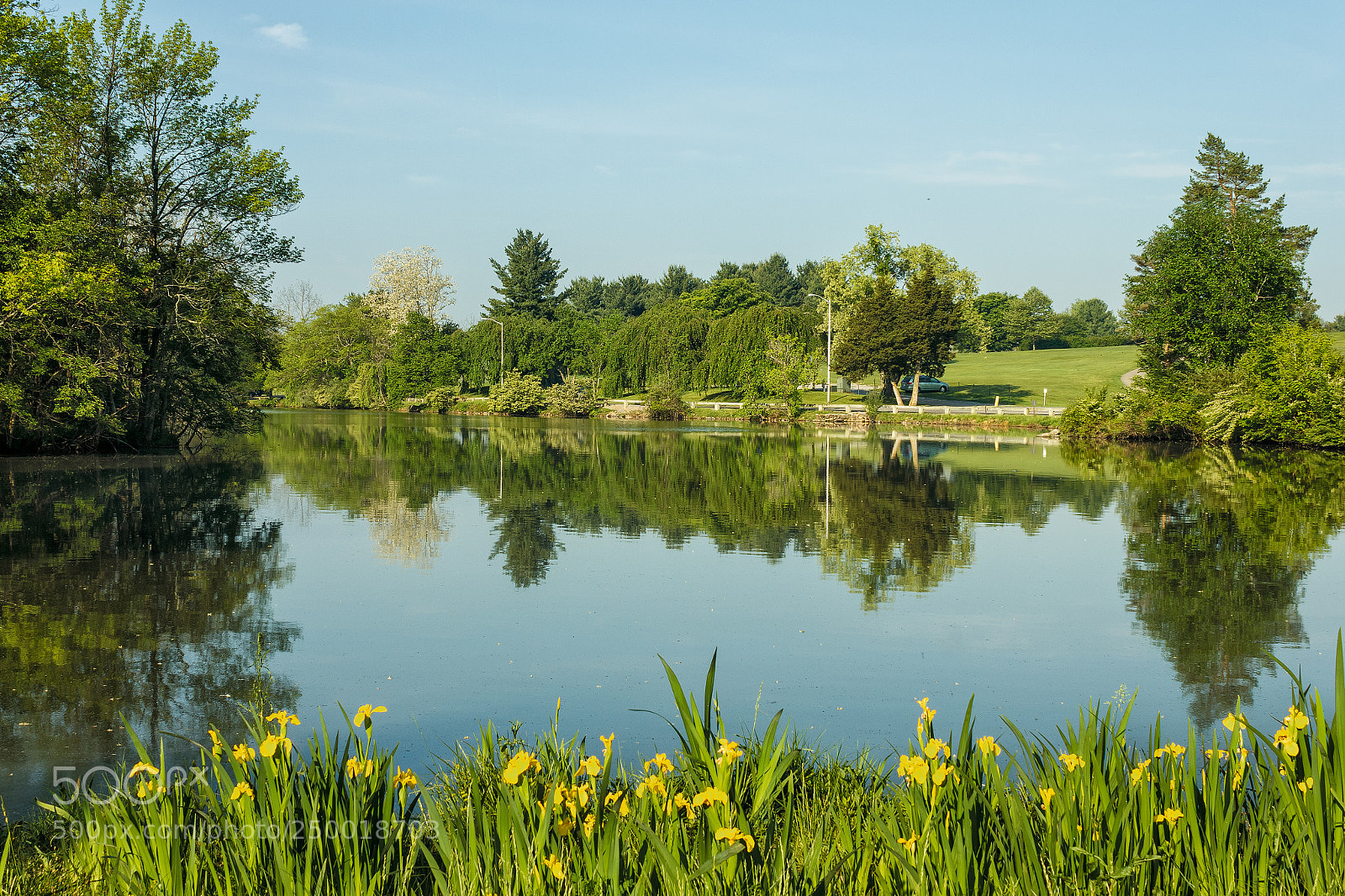 Canon EOS 550D (EOS Rebel T2i / EOS Kiss X4) sample photo. Duck pond at virginia photography