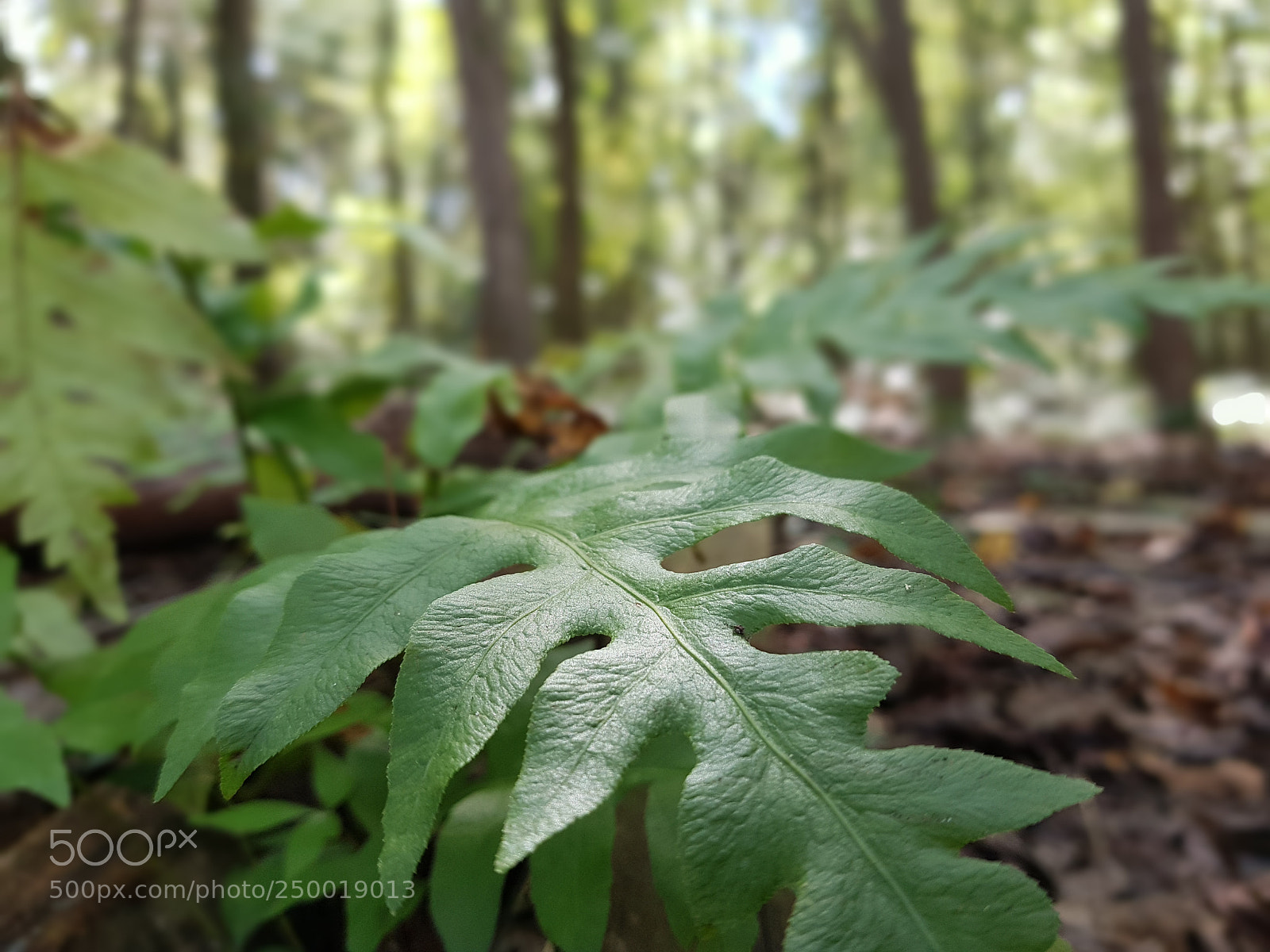 Samsung Galaxy S7 Edge sample photo. Untitled photography