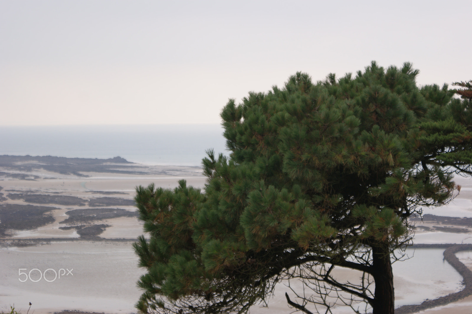 Sony DT 18-70mm F3.5-5.6 sample photo. Bord de mer photography