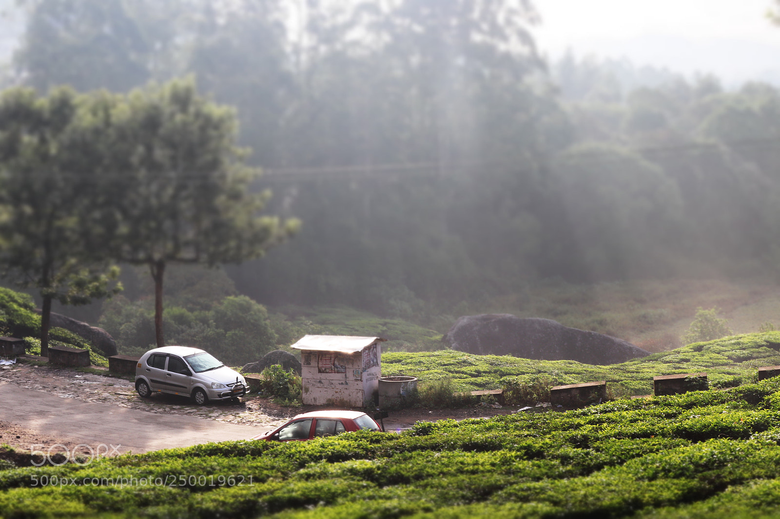 Canon EOS 200D (EOS Rebel SL2 / EOS Kiss X9) sample photo. Tiltshift effect chinnakannal raod photography