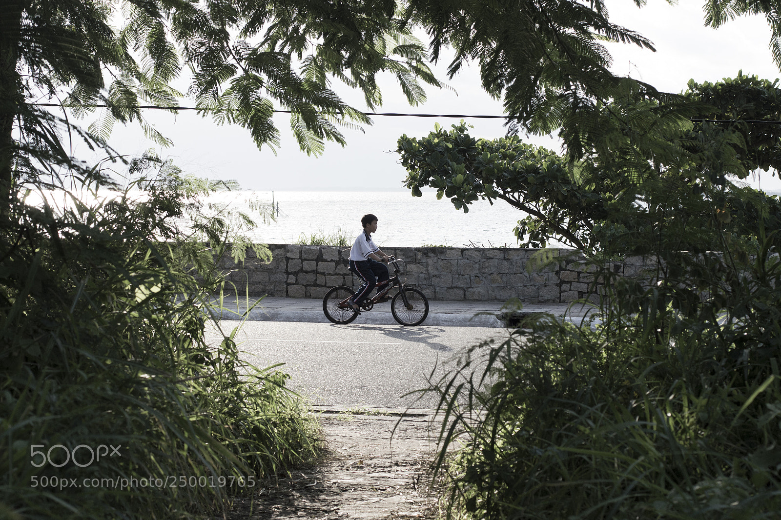 Nikon D3200 sample photo. Go home photography