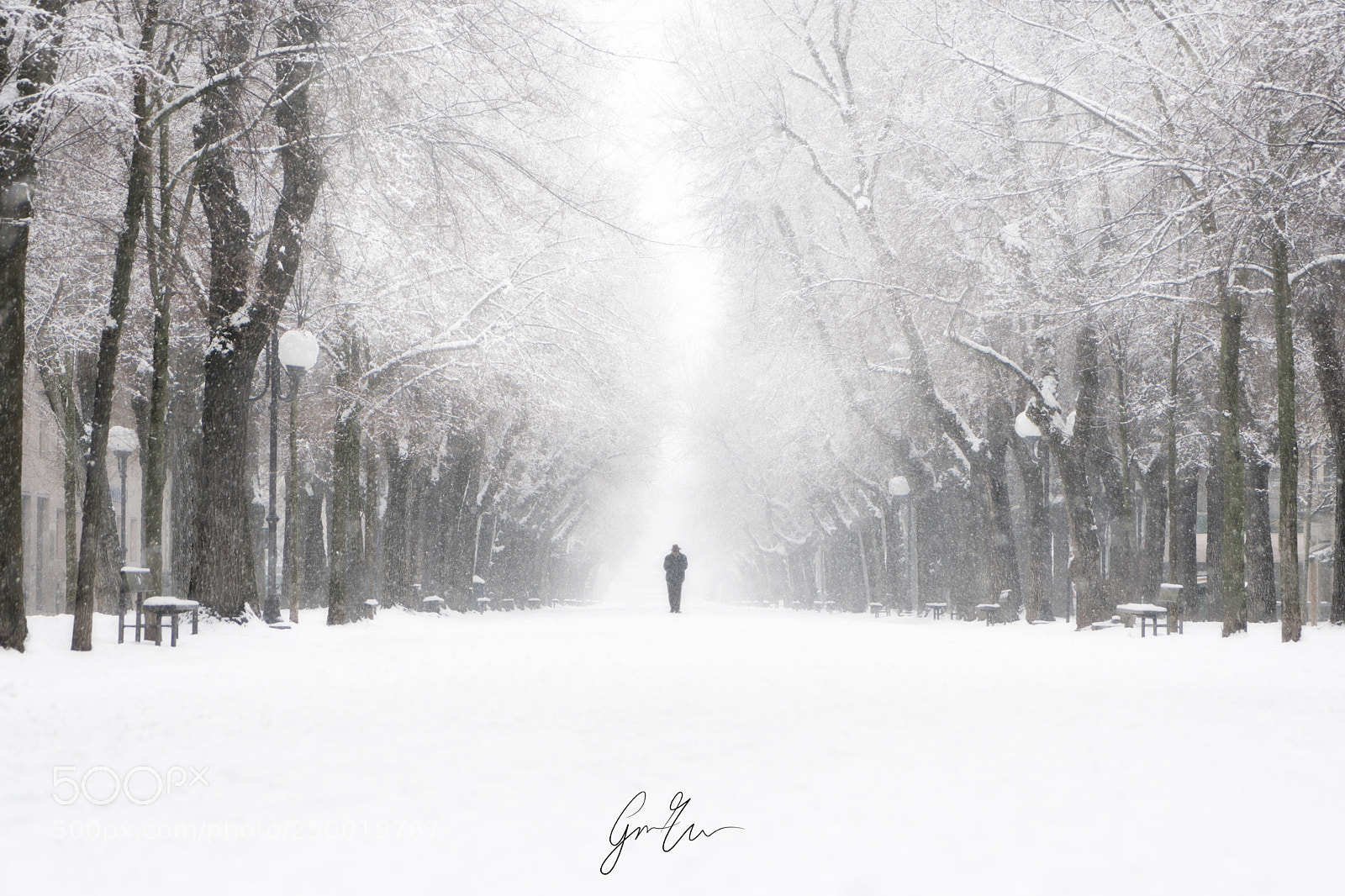 Sony a6500 sample photo. Snowing loneliness⠀ photography