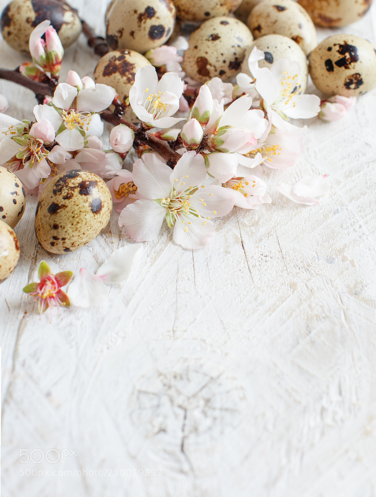 Canon EOS 650D (EOS Rebel T4i / EOS Kiss X6i) sample photo. Quail eggs and almond photography