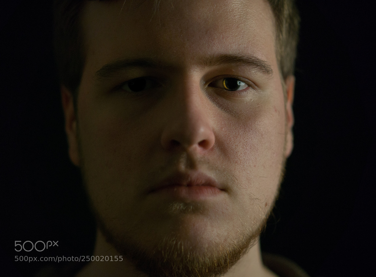Sony a6000 sample photo. Low-key close-up photography