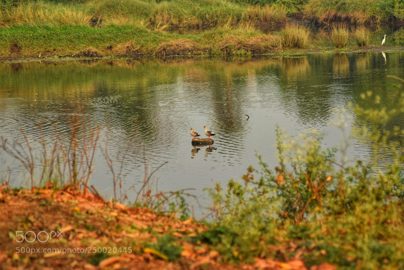 Nikon D3300 sample photo. Pleasant climate photography