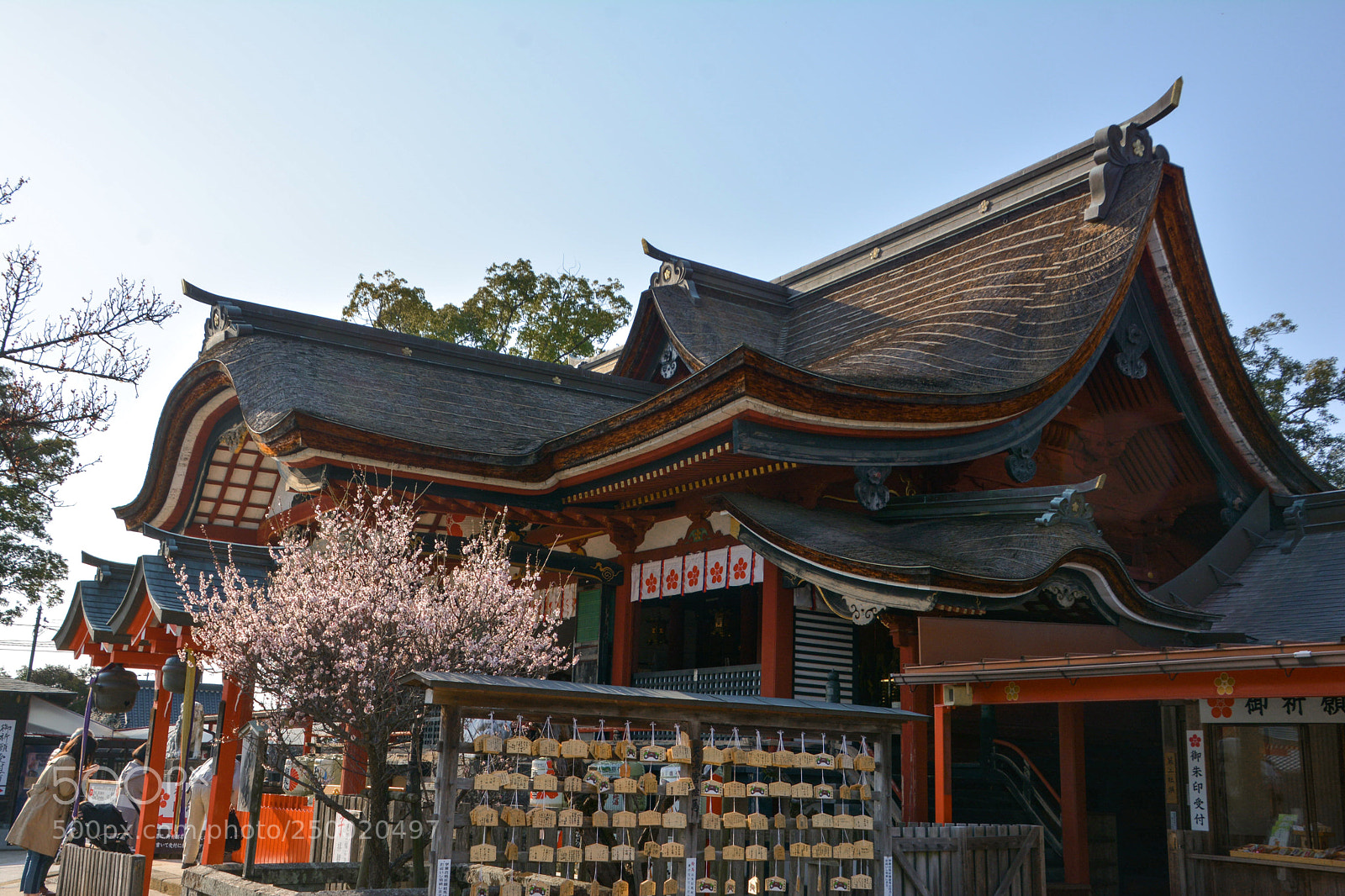 Nikon D7100 sample photo. Japanese temmangu shrine  photography