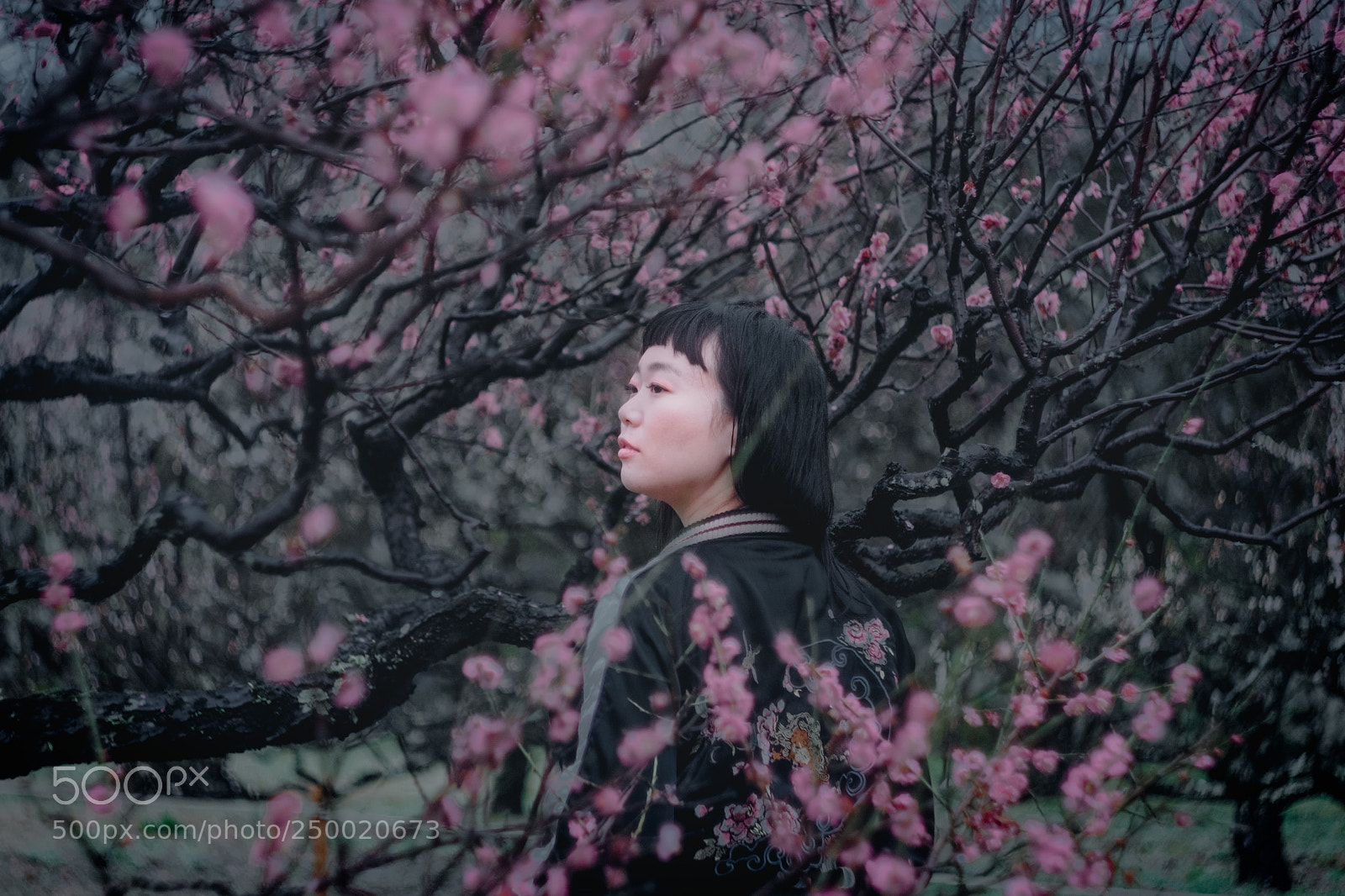 Fujifilm X-T2 sample photo. Black pink photography