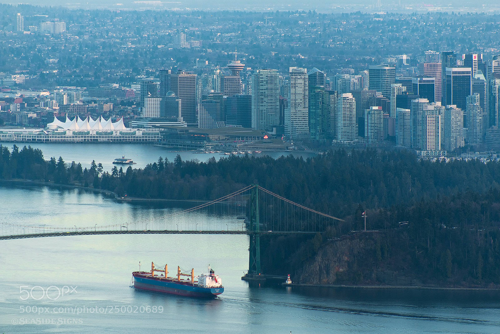 Canon EOS 70D sample photo. Olympic view  vancouver bc photography
