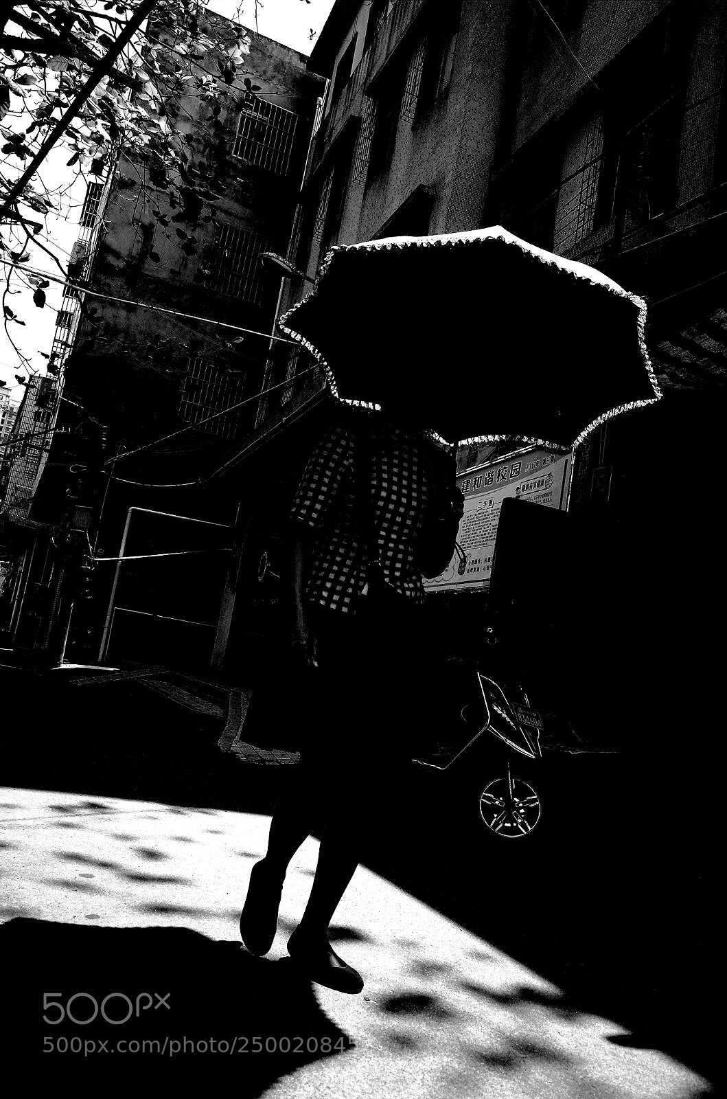 Ricoh GR II sample photo. Untitled photography