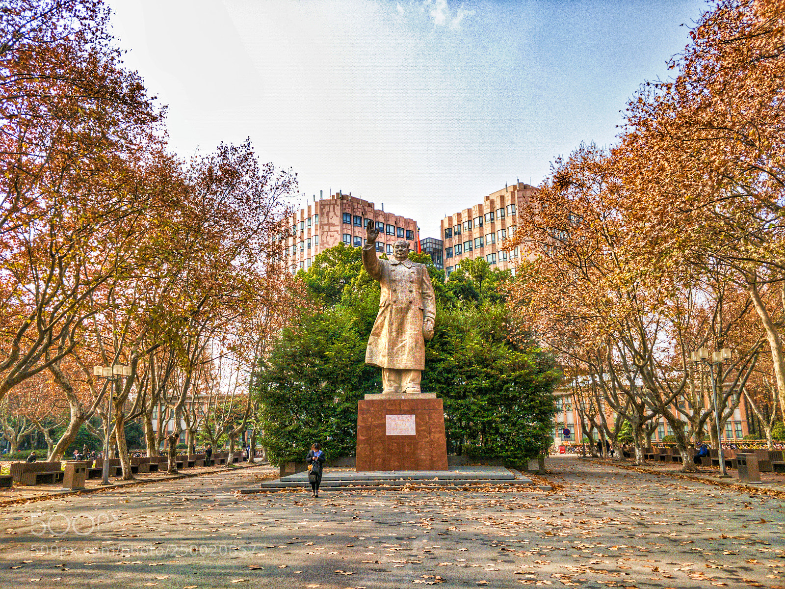 OnePlus 5 sample photo. 同济大学 photography
