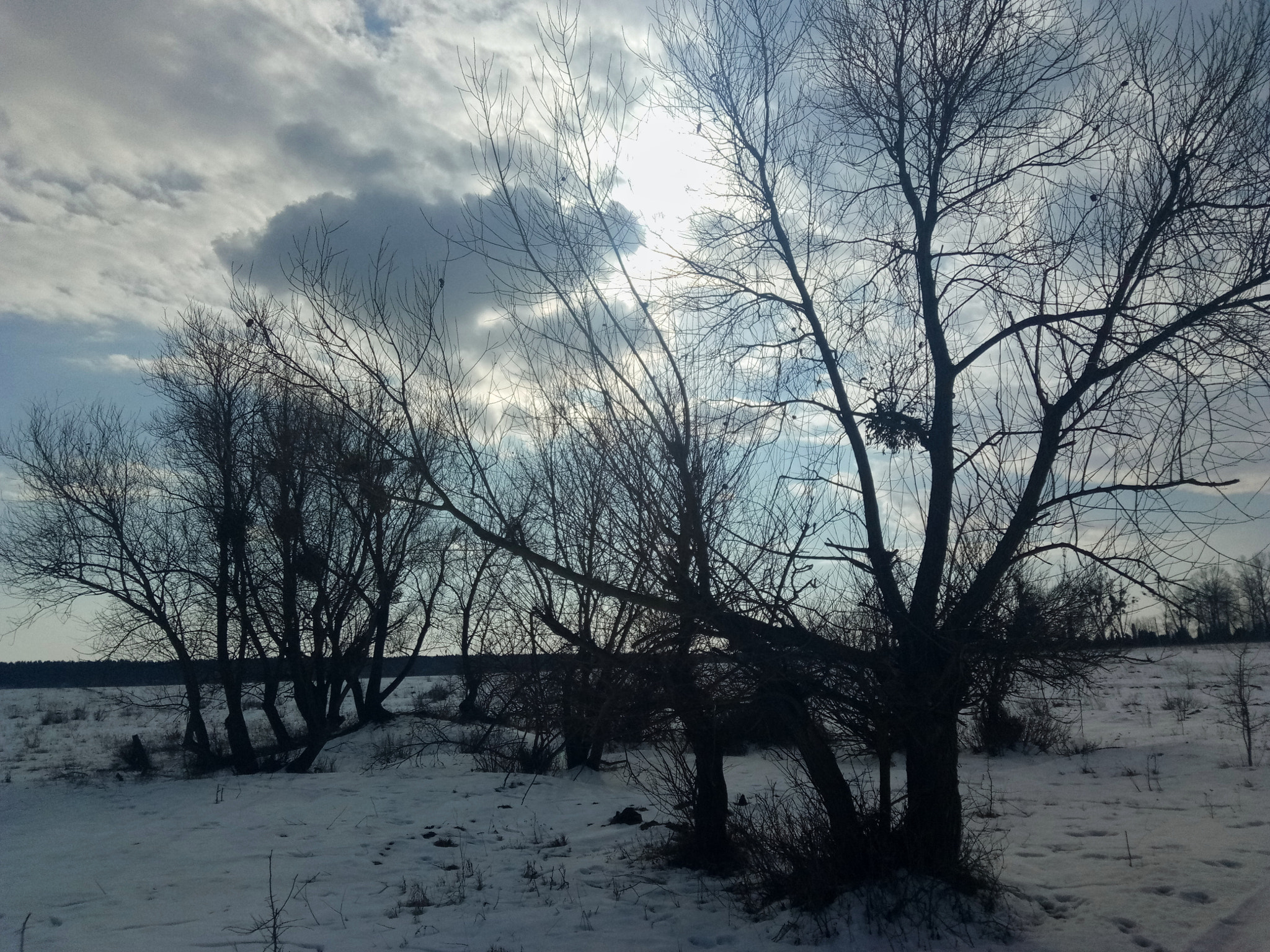 Meizu U20 sample photo