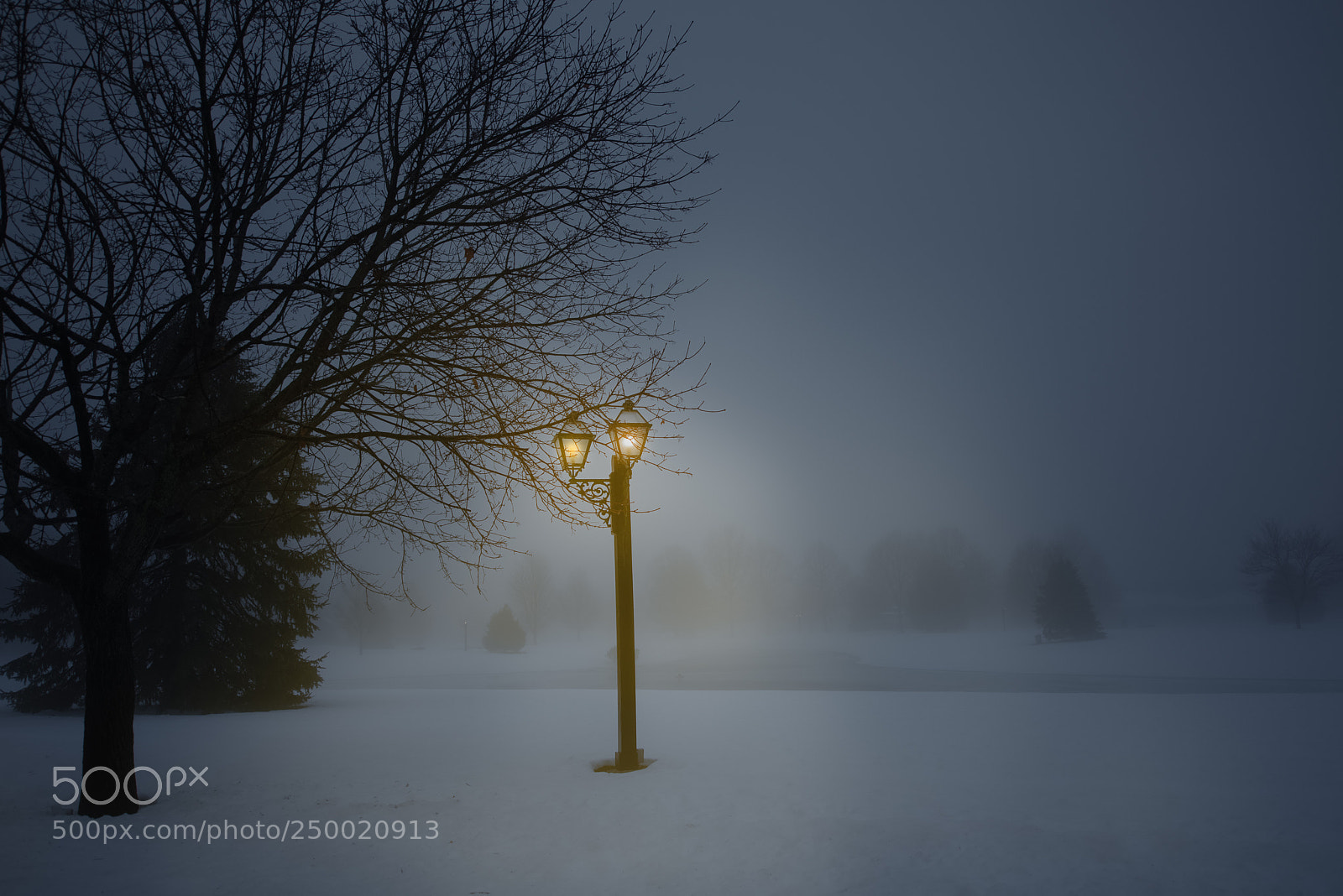 Nikon D810 sample photo. Foggy winter night photography