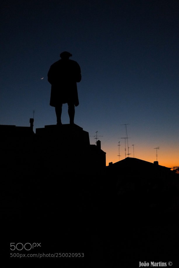Fujifilm X-E1 sample photo. Pedestal photography